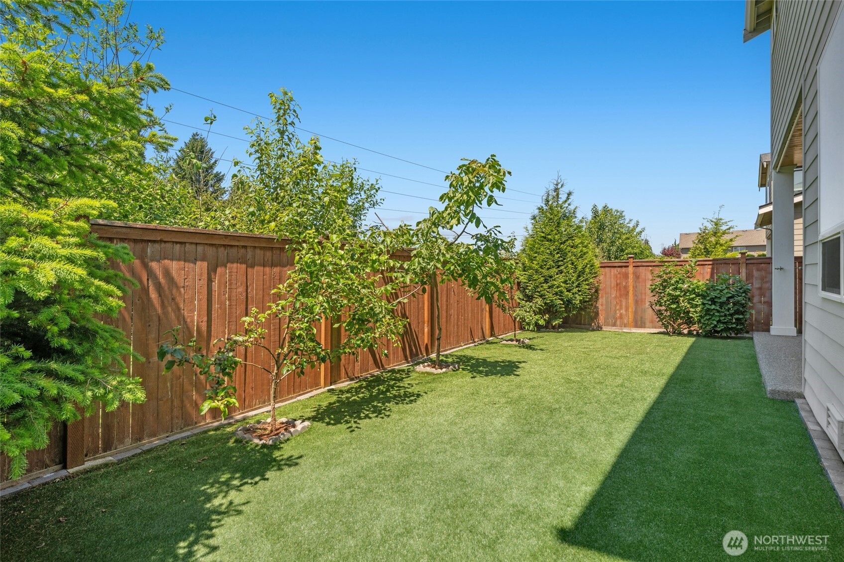 4309 231st Place Southeast Bothell, WA 98021 - Photo 30 of 40 a view of a backyard with plants and large trees