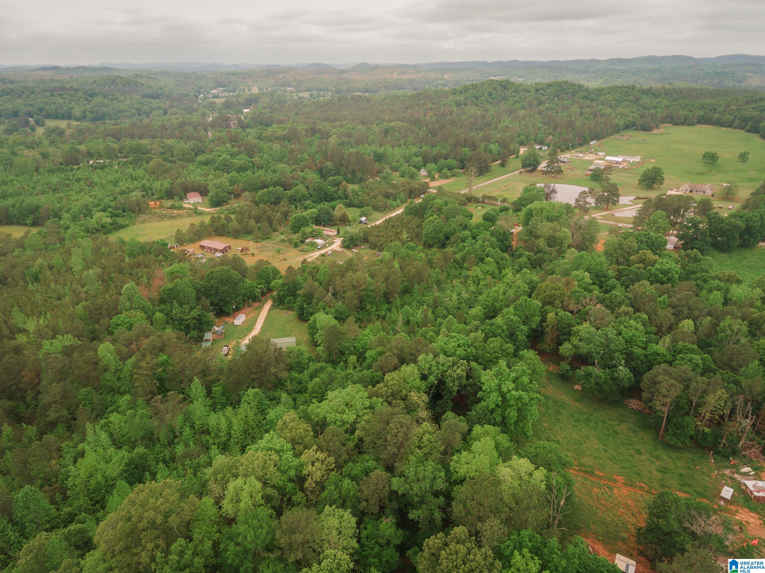 600 Possum Trot Road, Unit 10 34 Piedmont, AL 36272 - Photo 7 of 15
