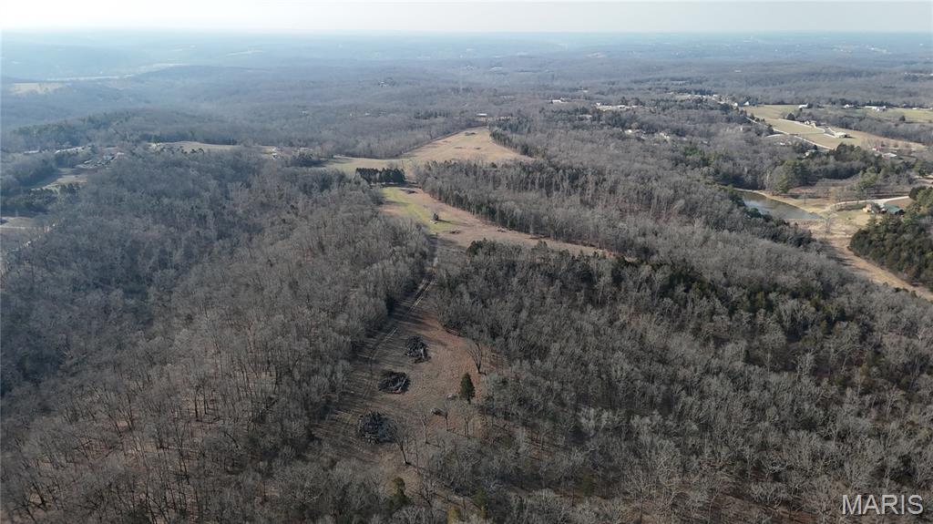 4777 Hillsboro Hematite Road Festus, MO 63028 - Photo 17 of 17