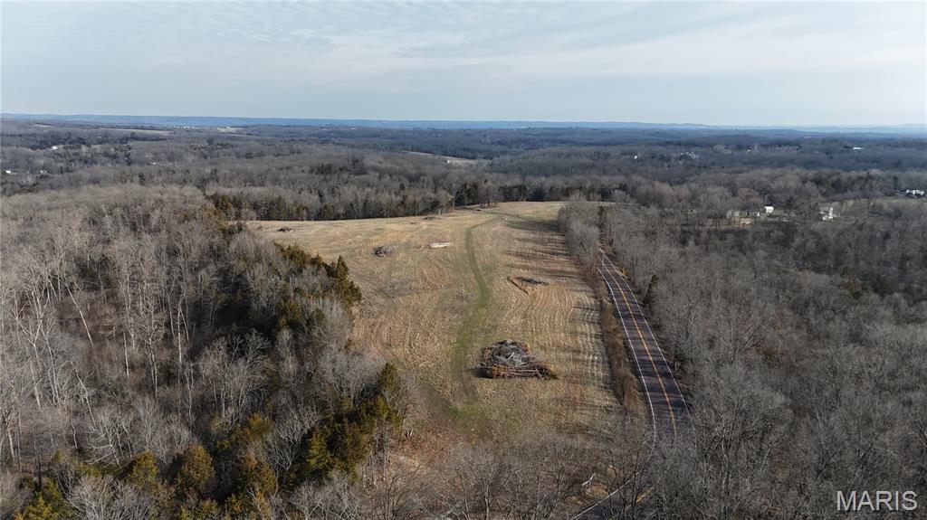 4777 Hillsboro Hematite Road Festus, MO 63028 - Photo 2 of 17