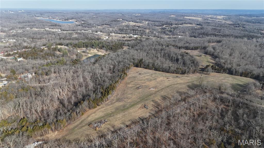 4777 Hillsboro Hematite Road Festus, MO 63028 - Photo 4 of 17