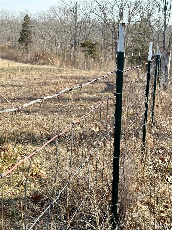 4777 Hillsboro Hematite Road Festus, MO 63028 - Photo 7 of 17