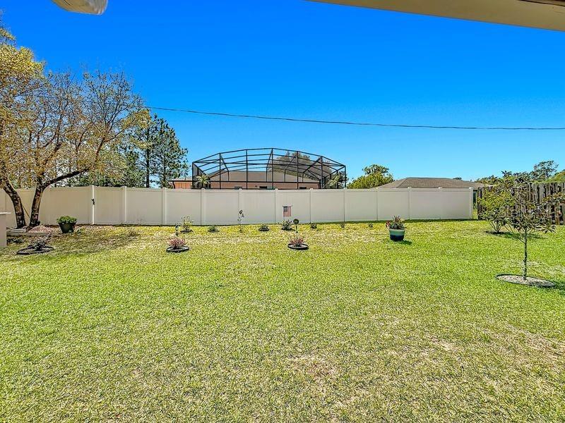 20156 Southwest 83rd Place Dunnellon, FL 34431 - Photo 25 of 28 a view of a backyard