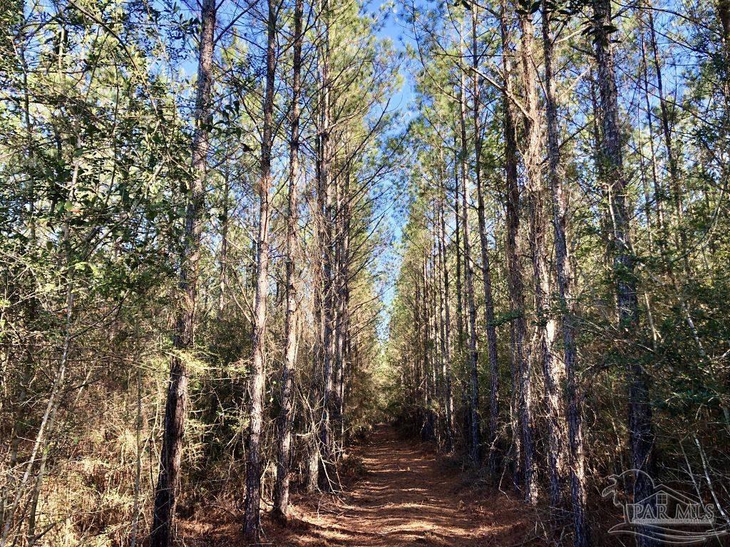 Lot 19-sw Bashi Road Pace, FL 32571 - Photo 11 of 20