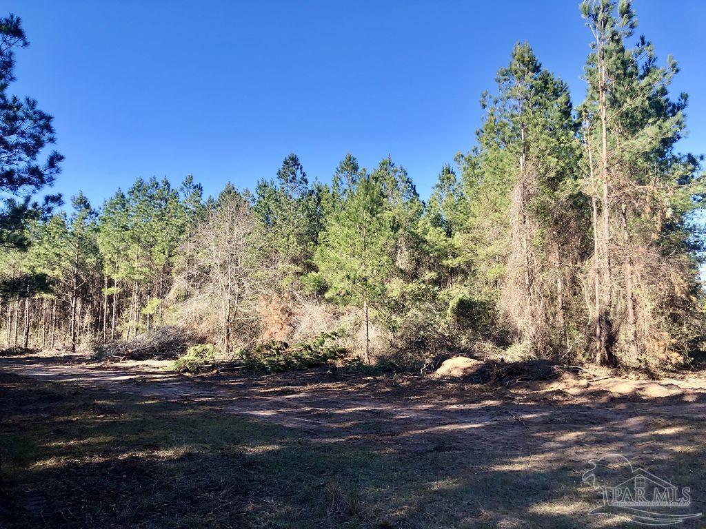 Lot 19-sw Bashi Road Pace, FL 32571 - Photo 13 of 20