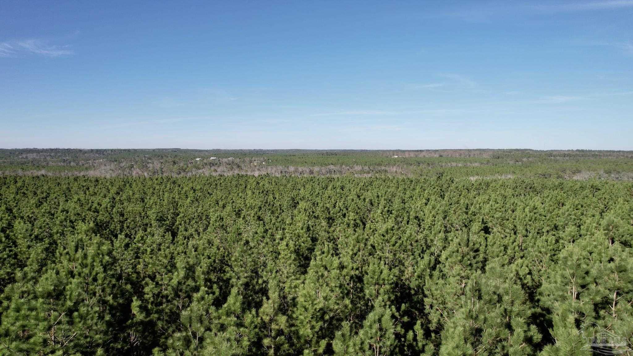 Lot 19-sw Bashi Road Pace, FL 32571 - Photo 19 of 20