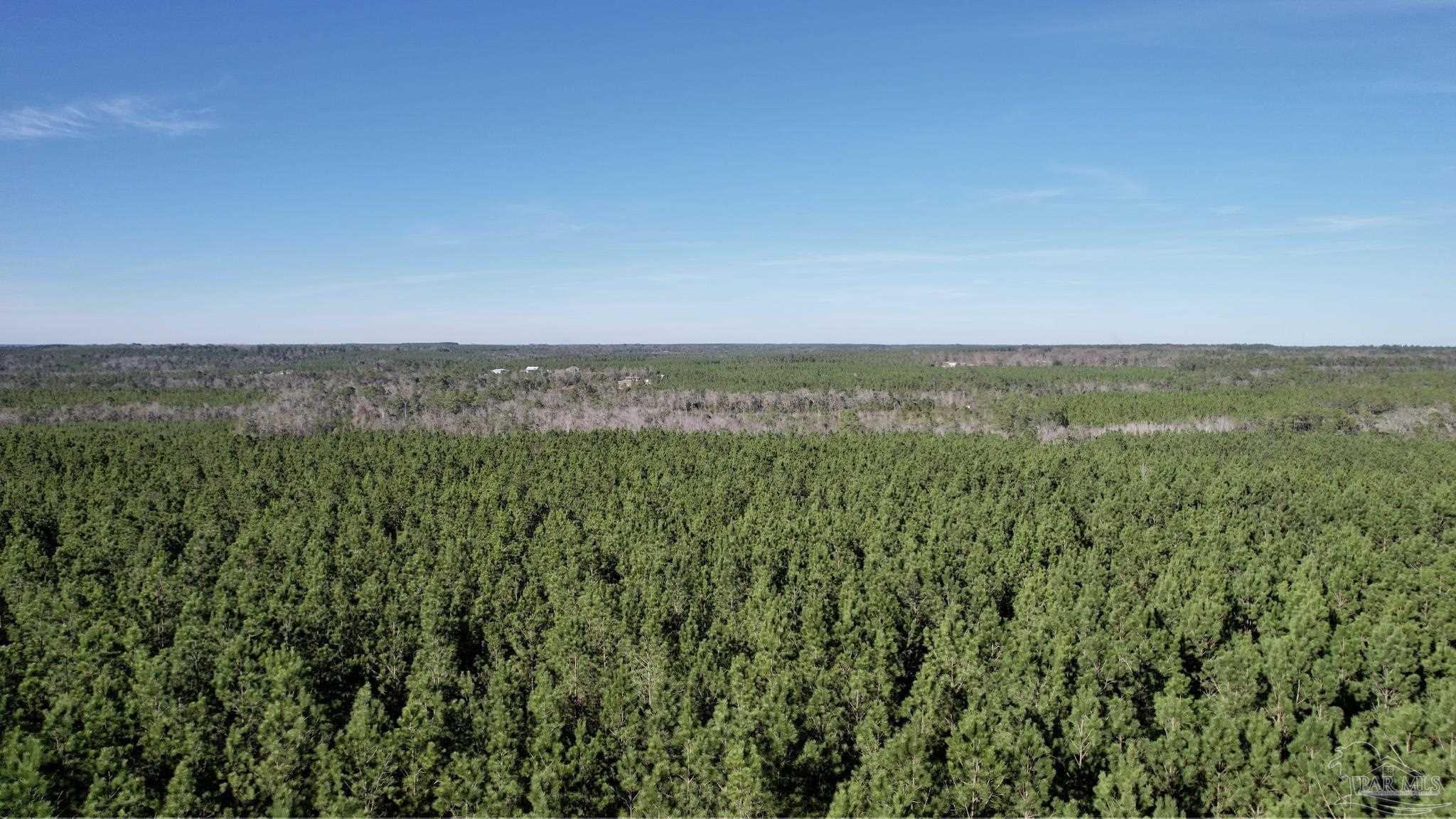 Lot 19-sw Bashi Road Pace, FL 32571 - Photo 20 of 20