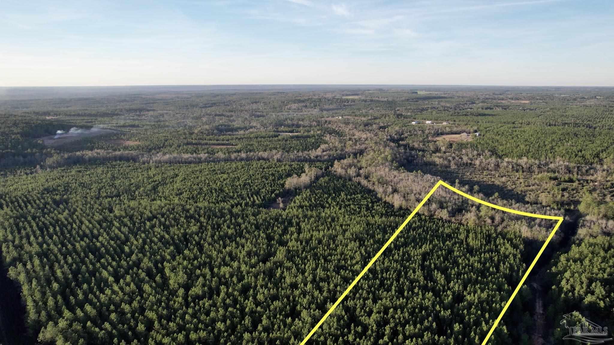 Lot 19-sw Bashi Road Pace, FL 32571 - Photo 2 of 20