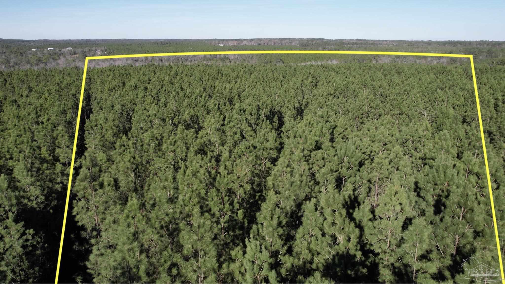 Lot 19-sw Bashi Road Pace, FL 32571 - Photo 3 of 20