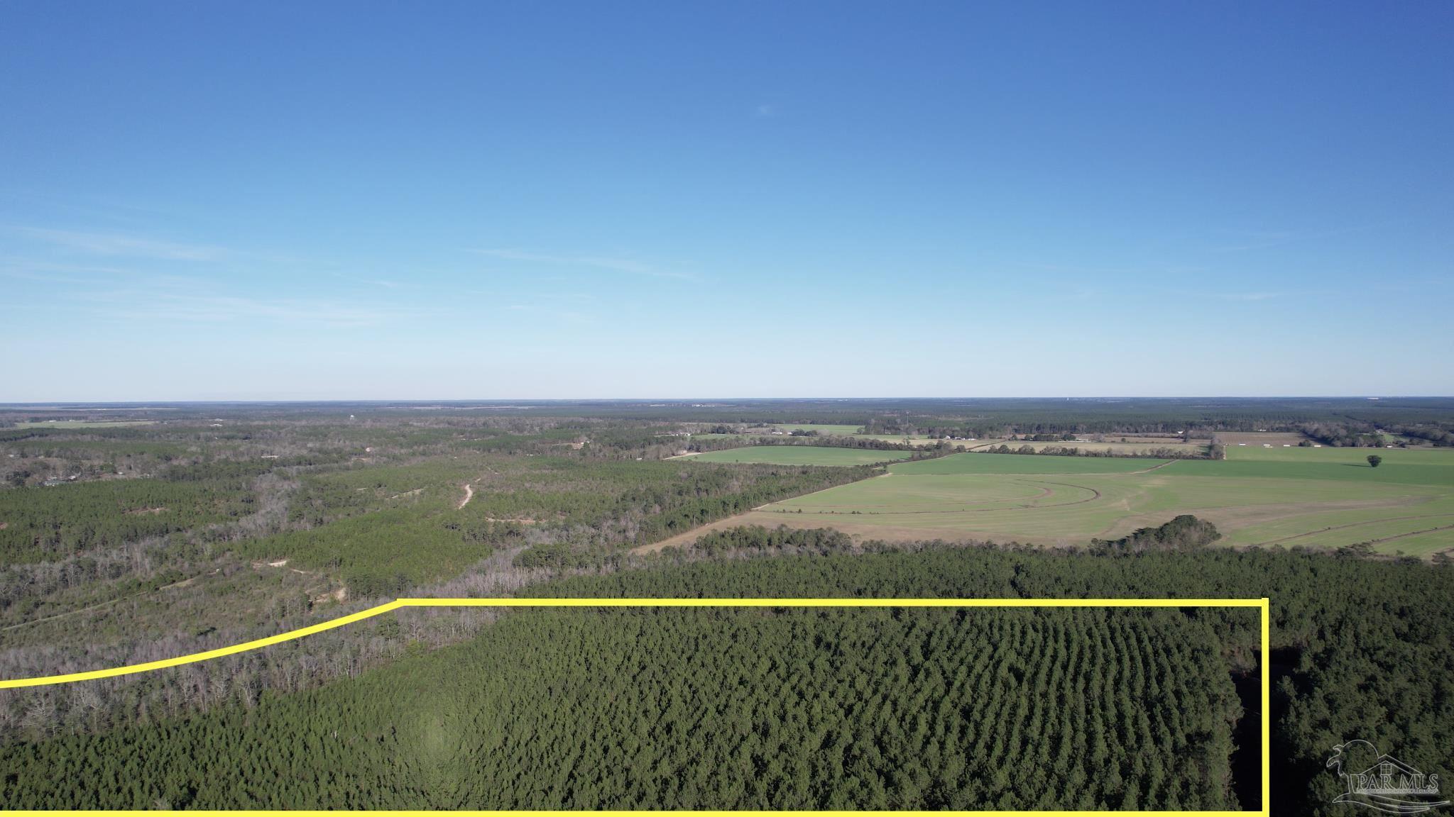 Lot 19-sw Bashi Road Pace, FL 32571 - Photo 4 of 20