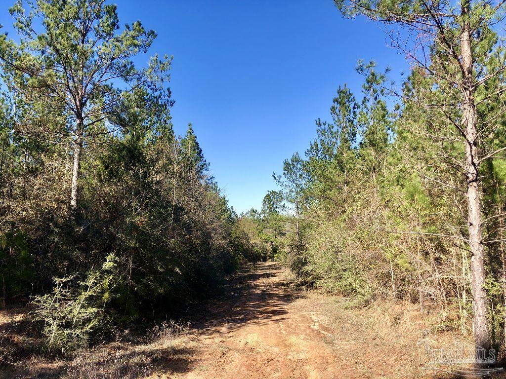 Lot 19-sw Bashi Road Pace, FL 32571 - Photo 7 of 20