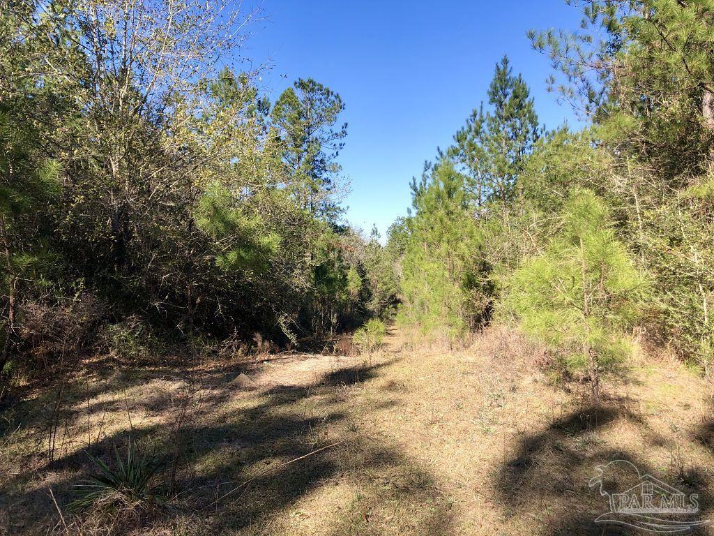 Lot 19-sw Bashi Road Pace, FL 32571 - Photo 8 of 20