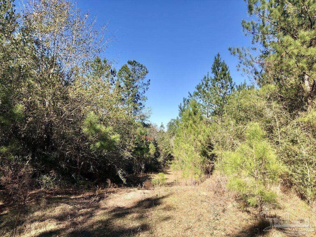Lot 19-sw Bashi Road Pace, FL 32571 - Photo 9 of 20