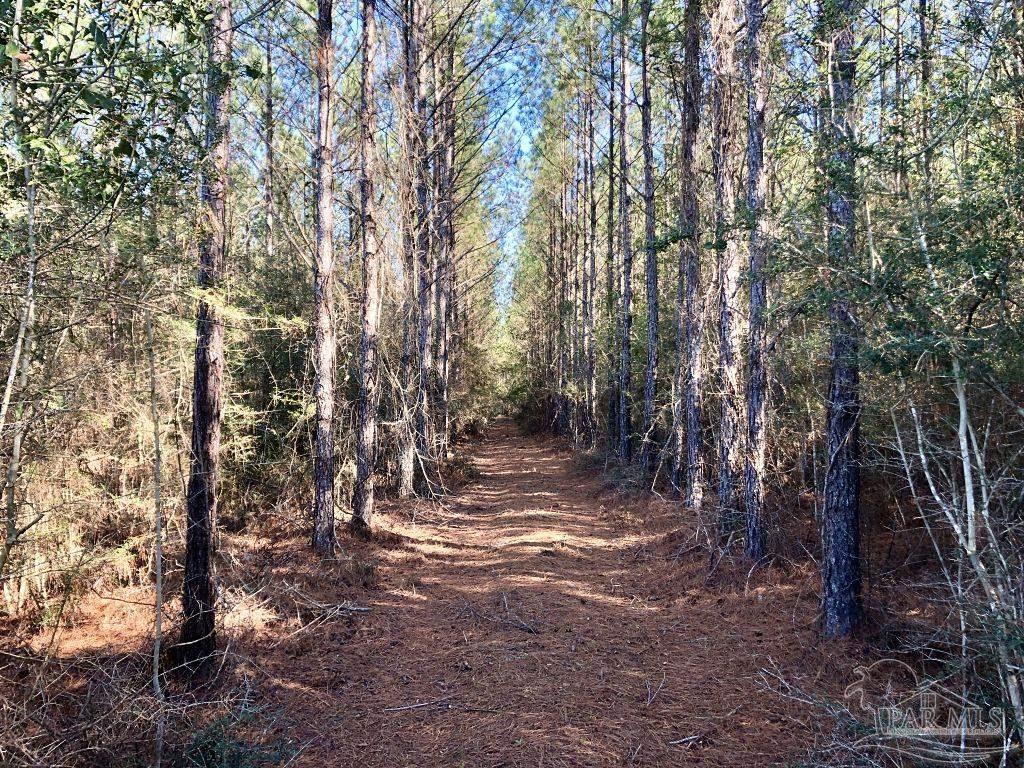 Lot 19-sw Bashi Road Pace, FL 32571 - Photo 10 of 20