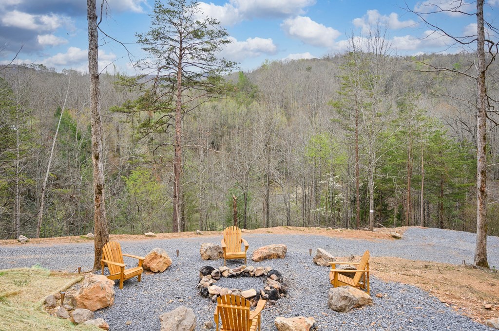1048 Laurel Lick Road Pigeon Forge, TN 37862 - Photo 58 of 58 Gallery Image 58