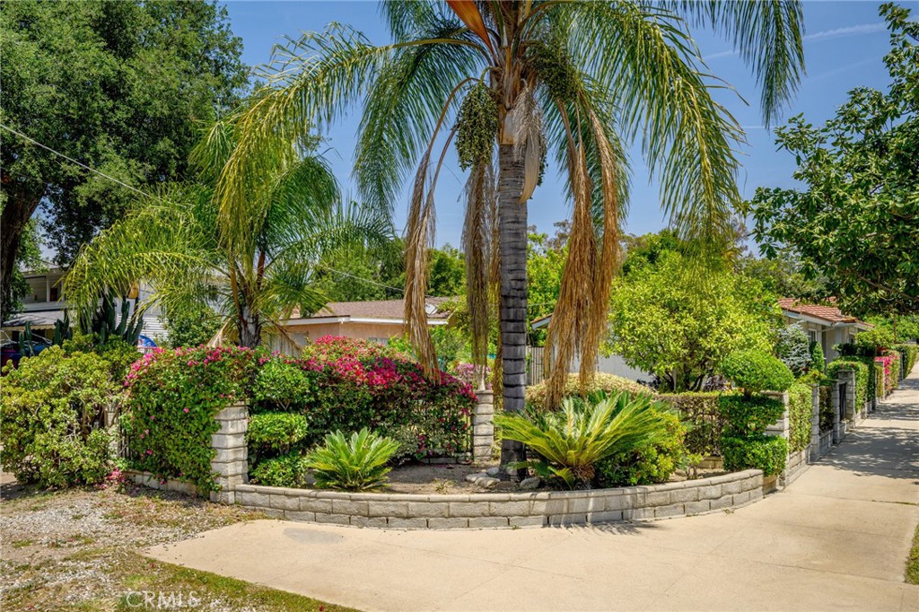 575 Winona Way Pasadena, CA 91103 - Photo 26 of 29 a view of a garden with a potted plants
