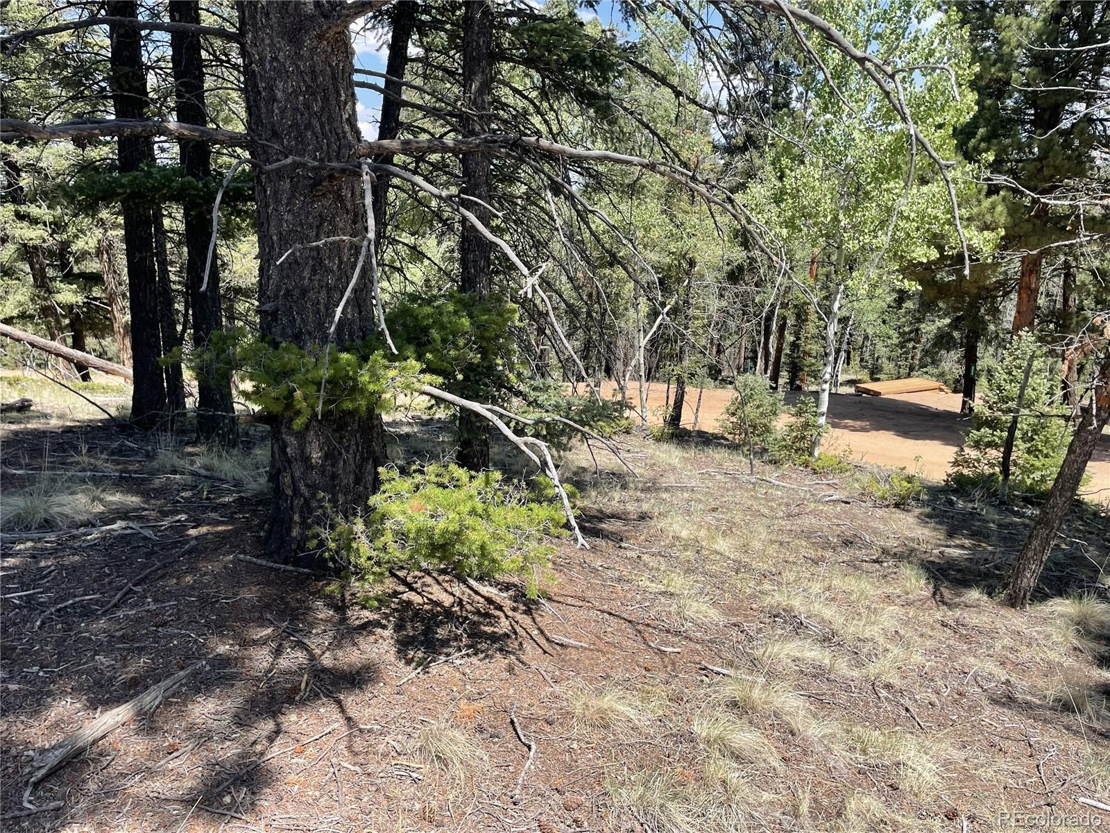 971 Spring Valley Lane Florissant, CO 80816 - Photo 5 of 11