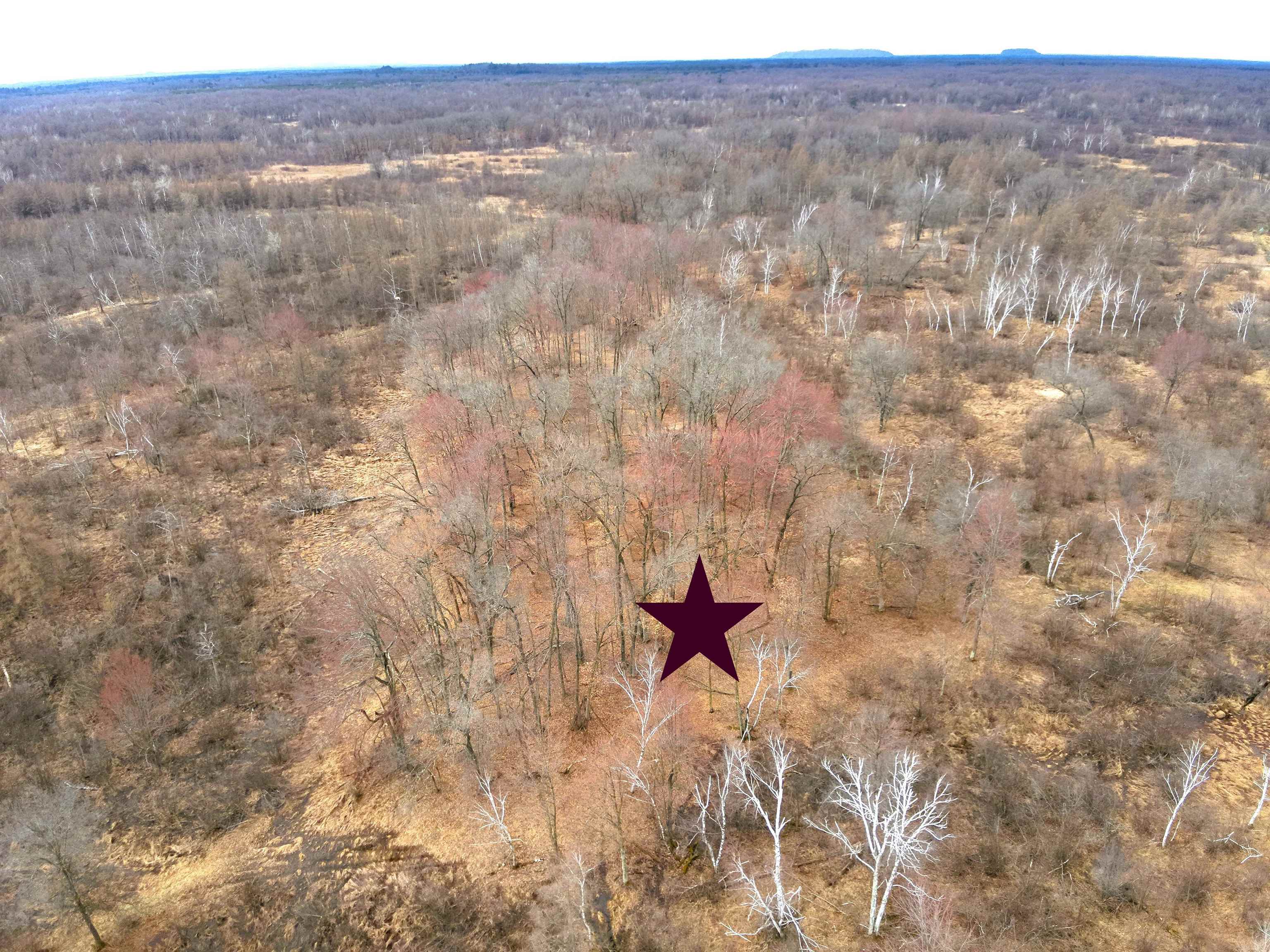 21 Vacant Land Friendship, WI 53934 - Photo 4 of 9