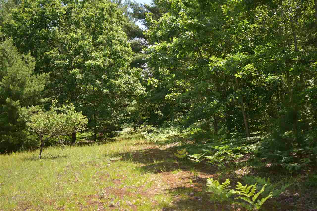 2664 Gonder Road Interlochen, MI 49643 - Photo 33 of 45 1839453-32.JPG
