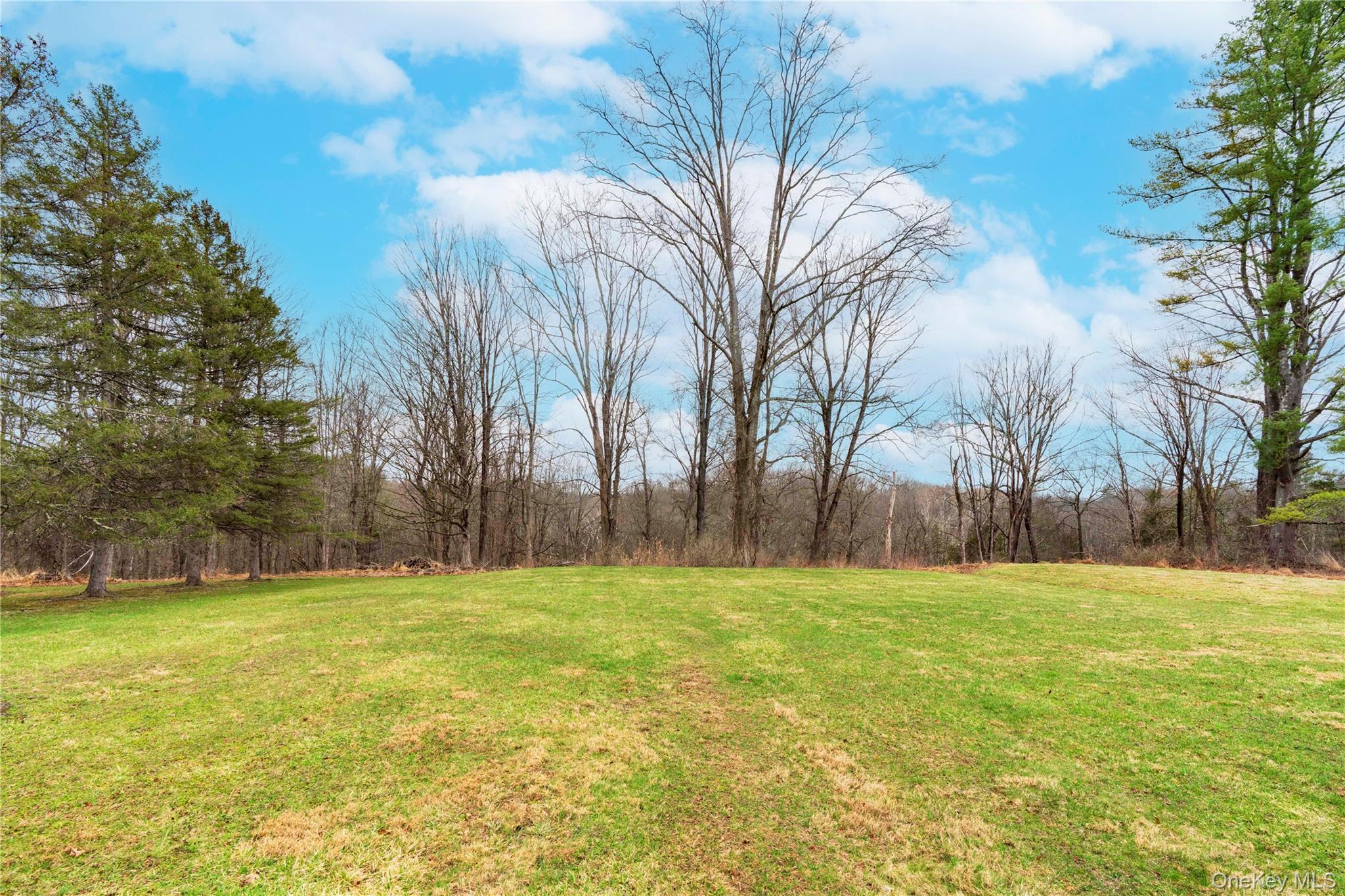 257 Mill Road Rhinebeck, NY 12572 - Photo 3 of 16 Spacious Rear Yard