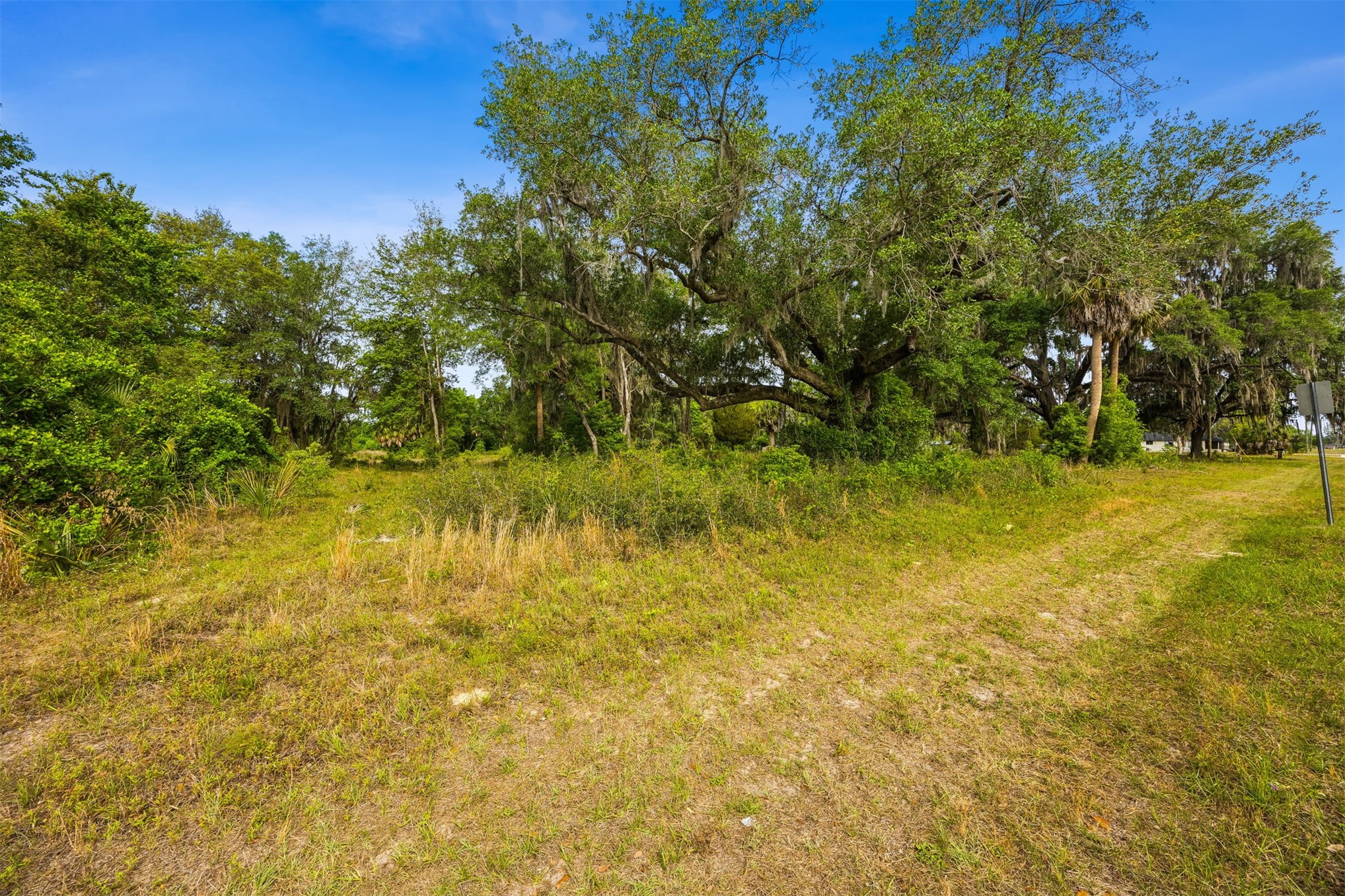0 Kings Ferry Road Hilliard, FL 32046 - Photo 8 of 9 a view of yard with swimming pool and trees in the background