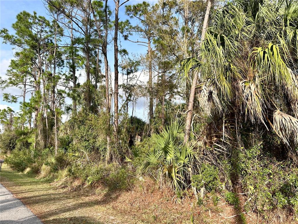 Cleo St Port North Port, FL 34286 - Photo 2 of 10 a view of a yard with plants and trees