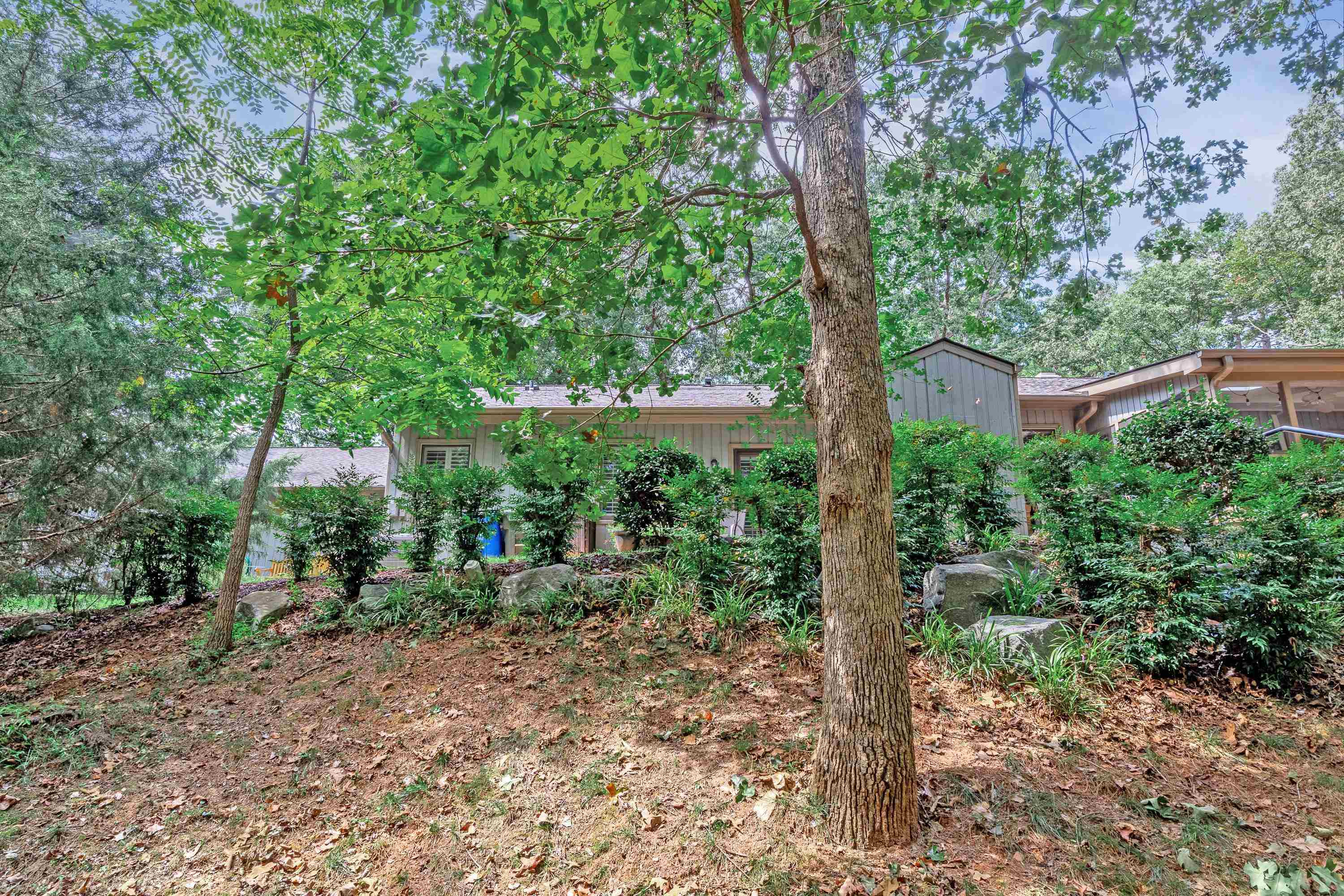 705 Tan Tara Square Raleigh, NC 27615 - Photo 31 of 31 a view of a forest filled with trees