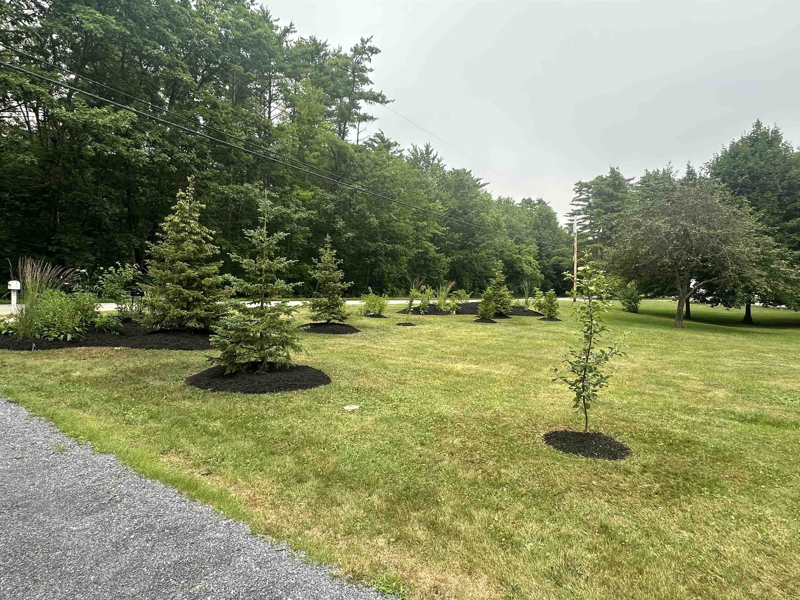 1537 Lake Dunmore Road Leicester, VT 05733 - Photo 5 of 34
