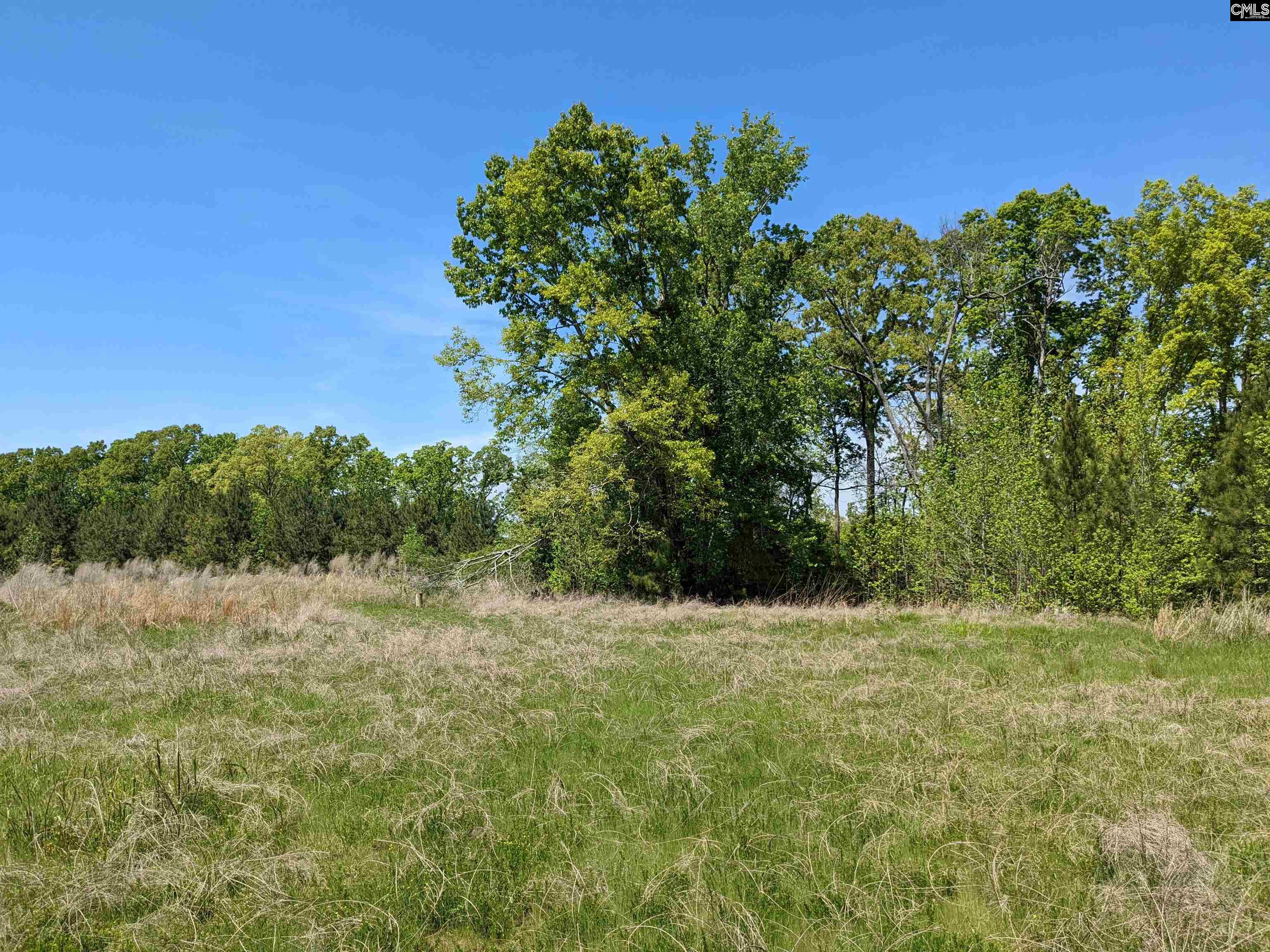 Old Hillcrest School Road Winnsboro, SC 29180 - Photo 2 of 95
