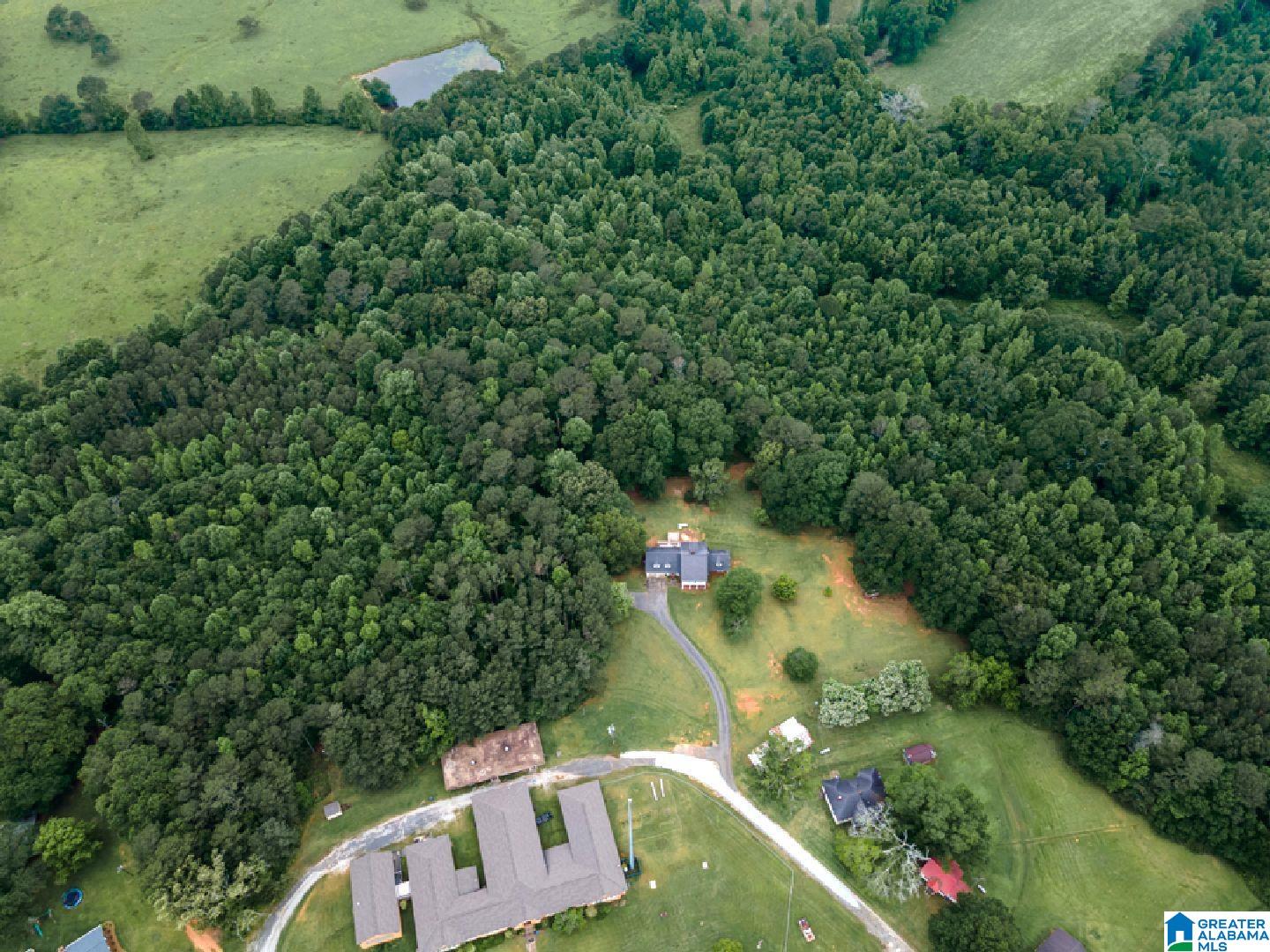 83 Barfield School Road Lineville, AL 36266 - Photo 5 of 42