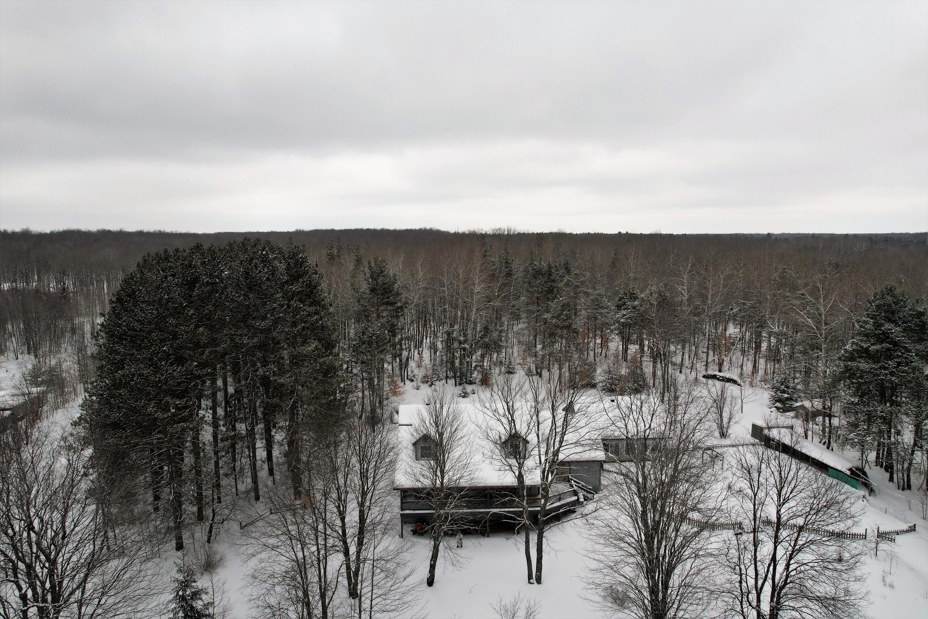 4241 Hallenius Road Gaylord, MI 49735 - Photo 2 of 28 Gallery Image 2