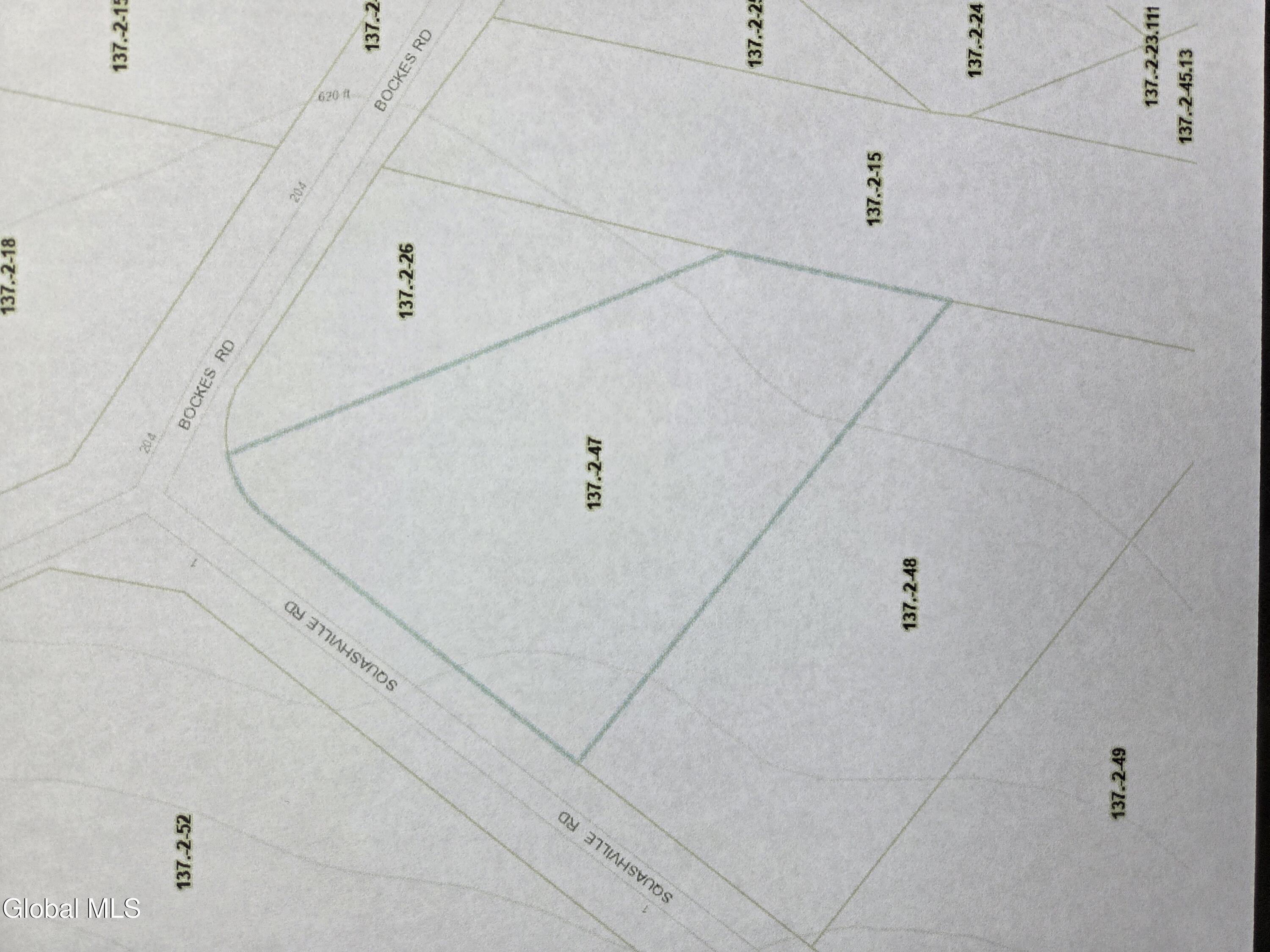 10 Squashville Road Greenfield, NY 12833 - Photo 3 of 3 Tax Map Pic