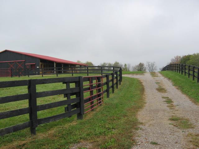 503 Colville Road Paris, KY 40361 - Photo 8 of 46 Photo 8