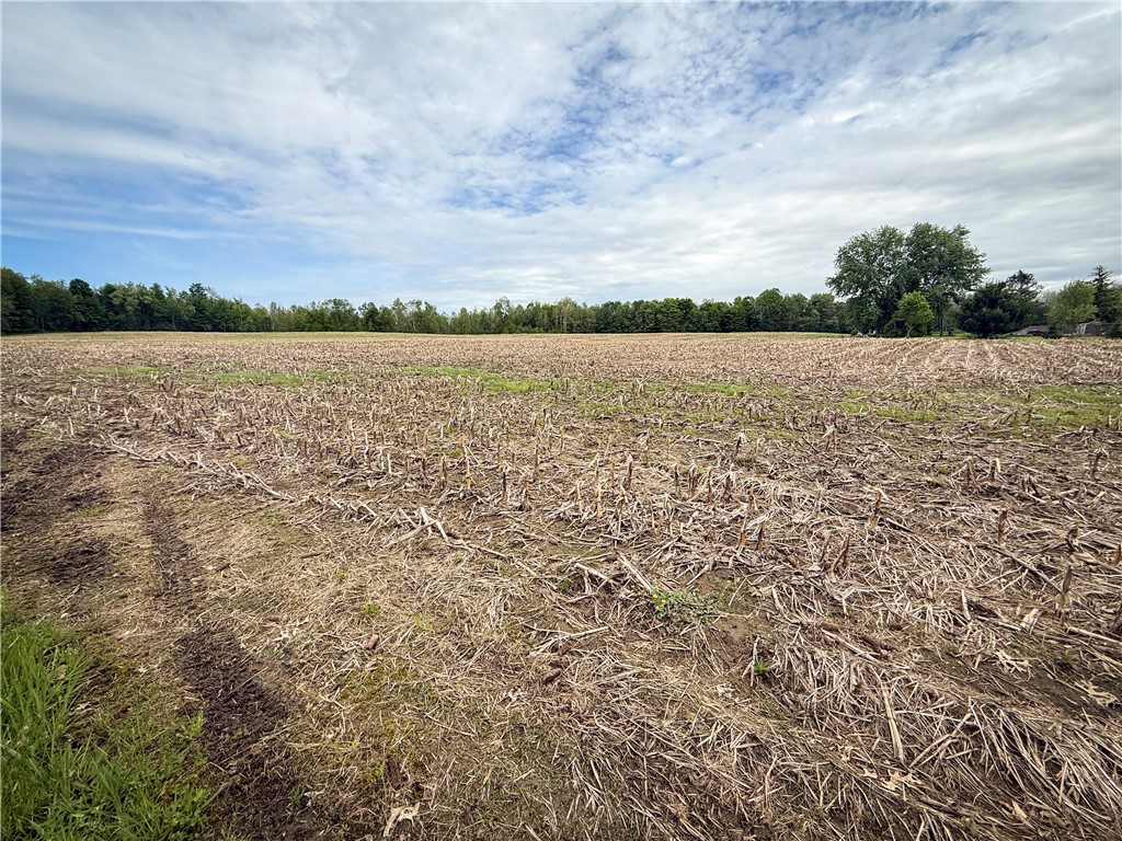 Gifford Road Hannibal, NY 13074 - Photo 4 of 50