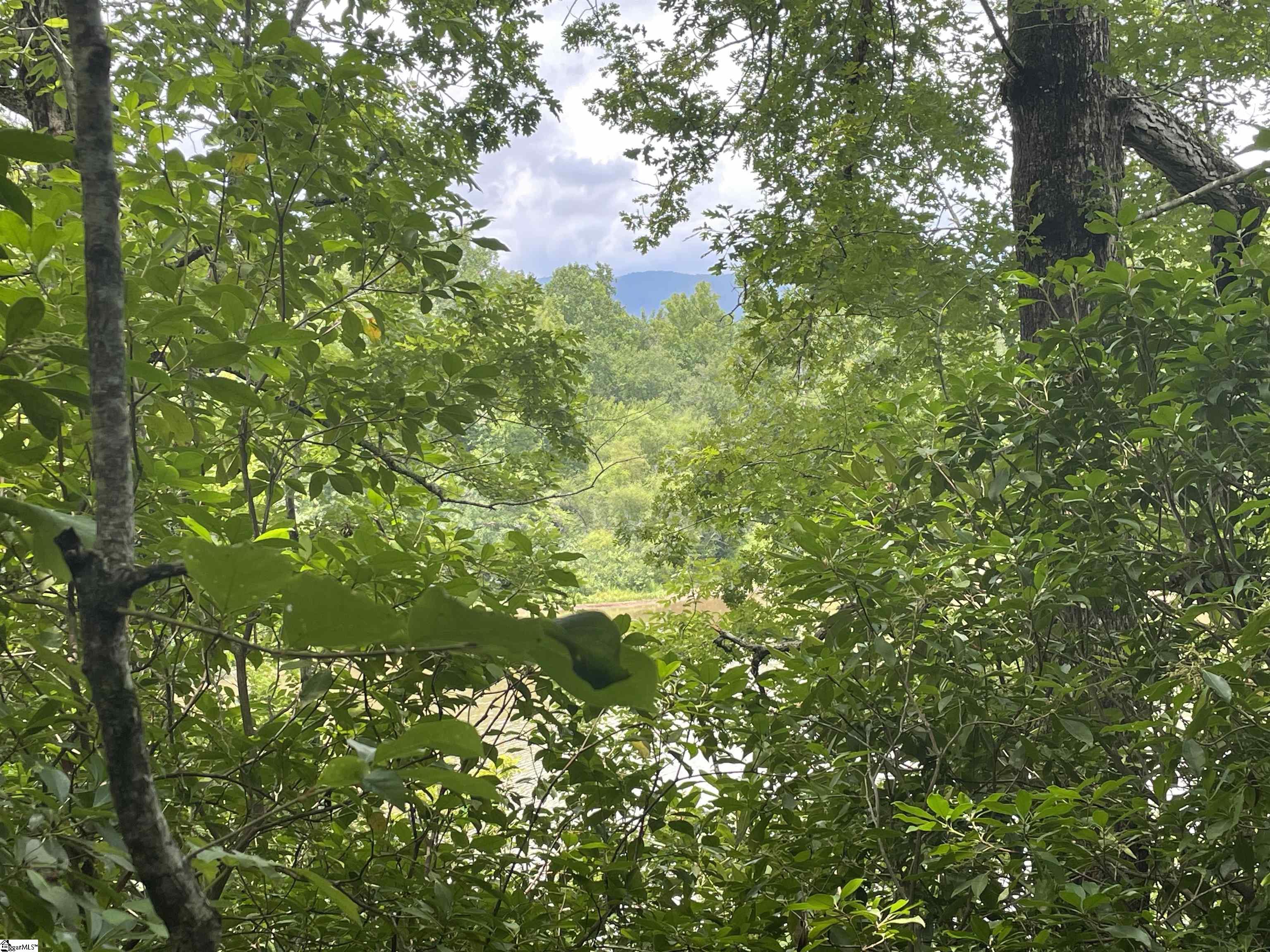 0 Osheal Drive Tamassee, SC 29686 - Photo 12 of 35