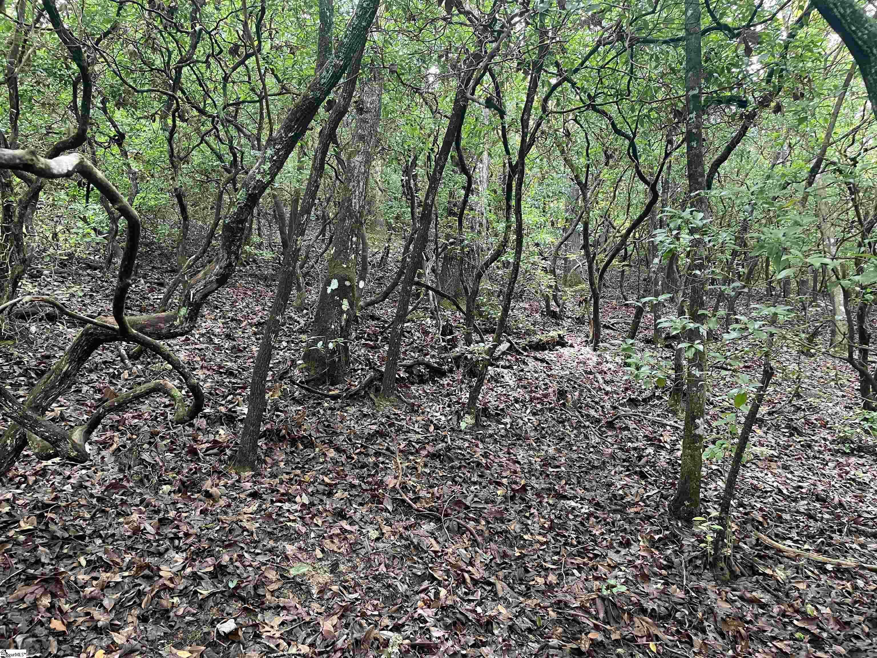 0 Osheal Drive Tamassee, SC 29686 - Photo 14 of 35