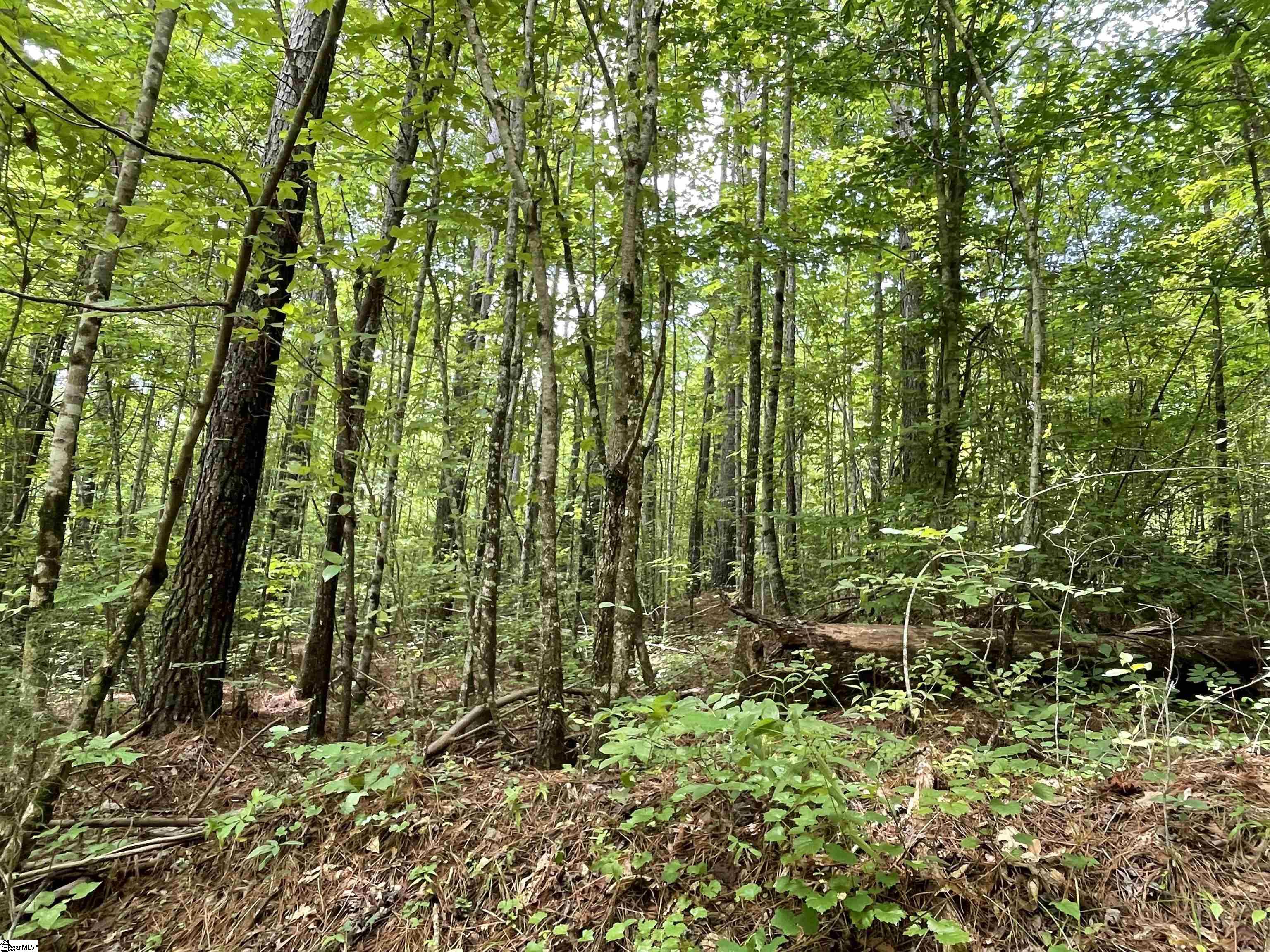 0 Osheal Drive Tamassee, SC 29686 - Photo 16 of 35