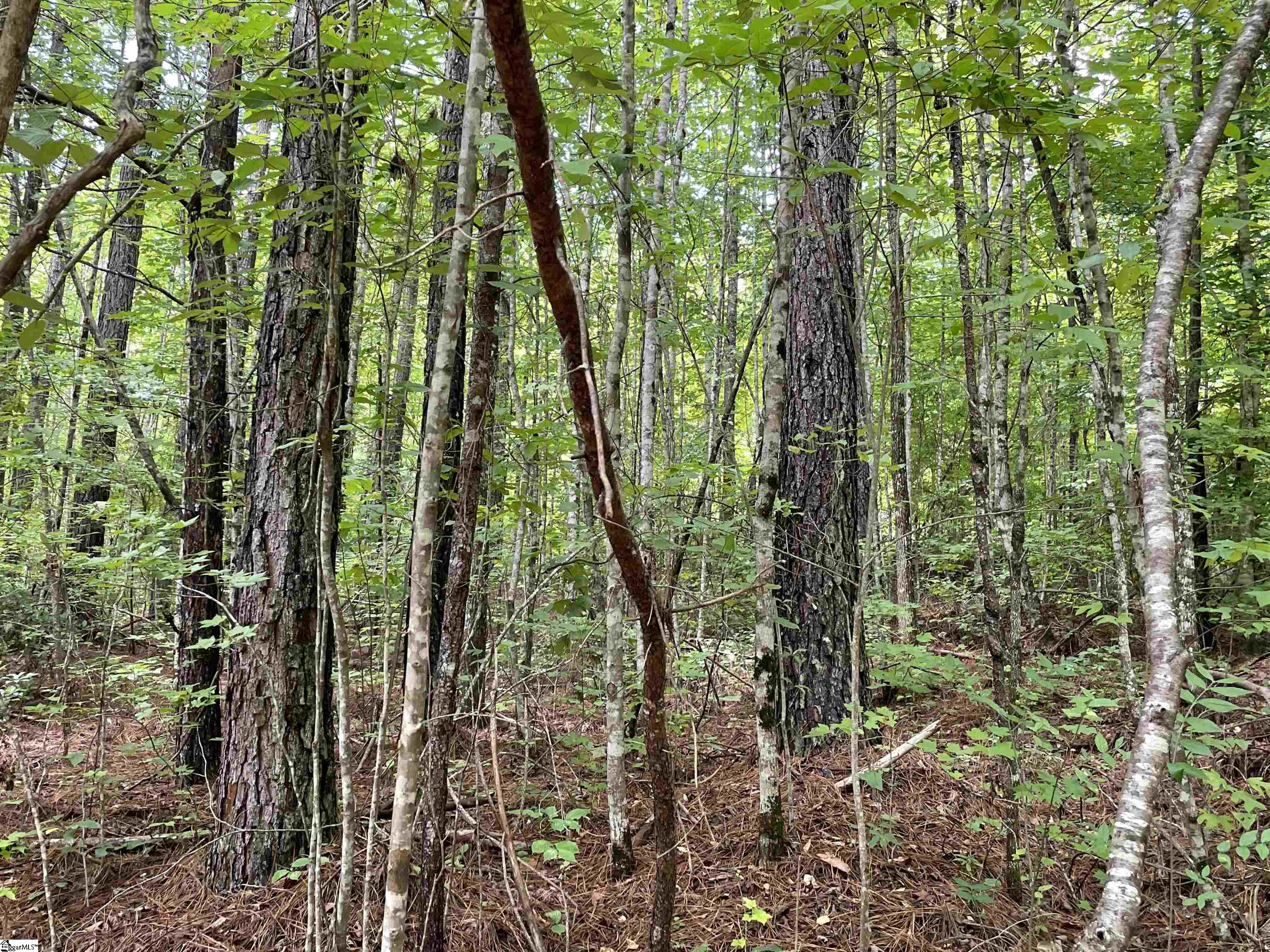 0 Osheal Drive Tamassee, SC 29686 - Photo 17 of 35