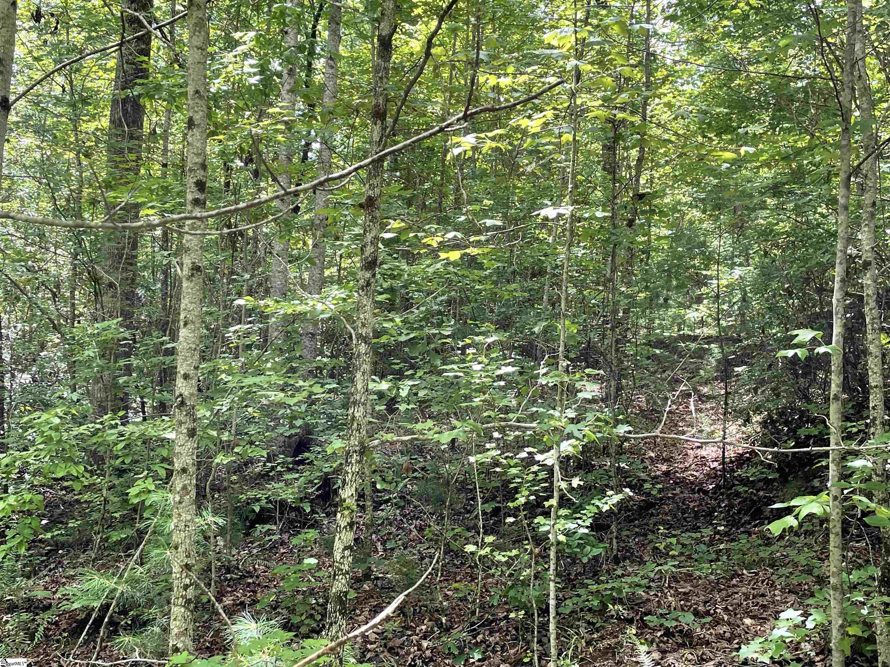 0 Osheal Drive Tamassee, SC 29686 - Photo 18 of 35