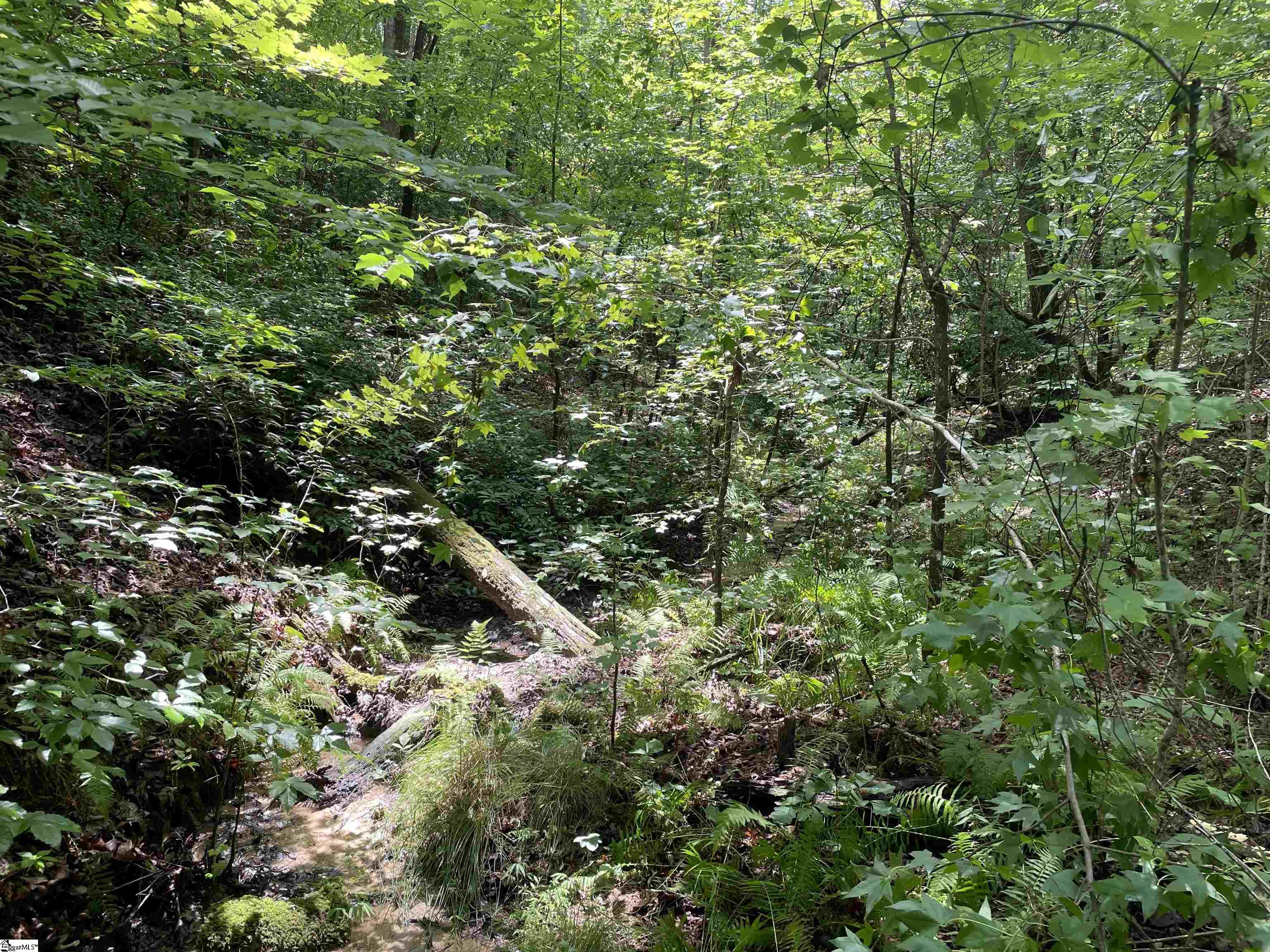 0 Osheal Drive Tamassee, SC 29686 - Photo 20 of 35