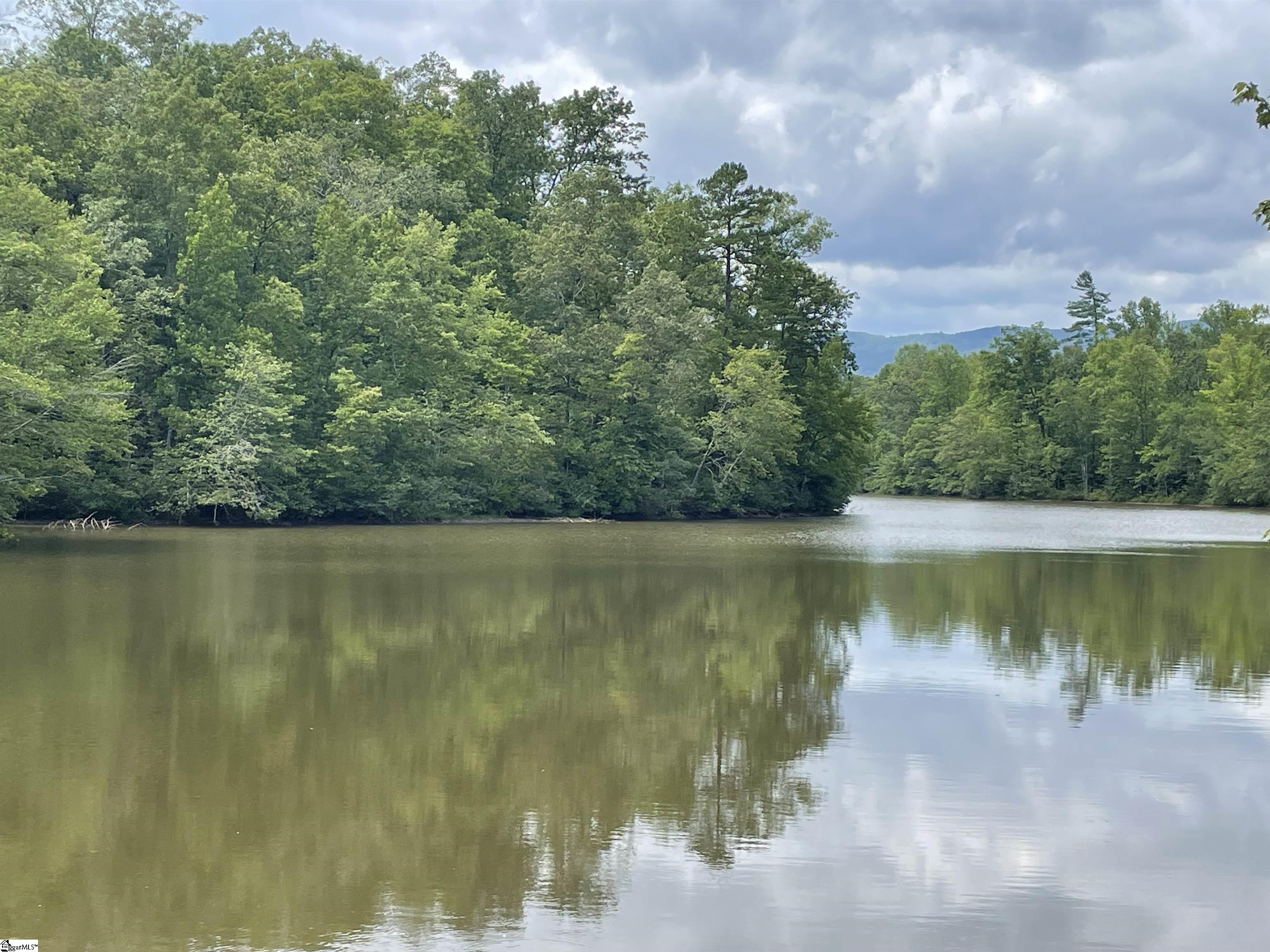 0 Osheal Drive Tamassee, SC 29686 - Photo 2 of 35