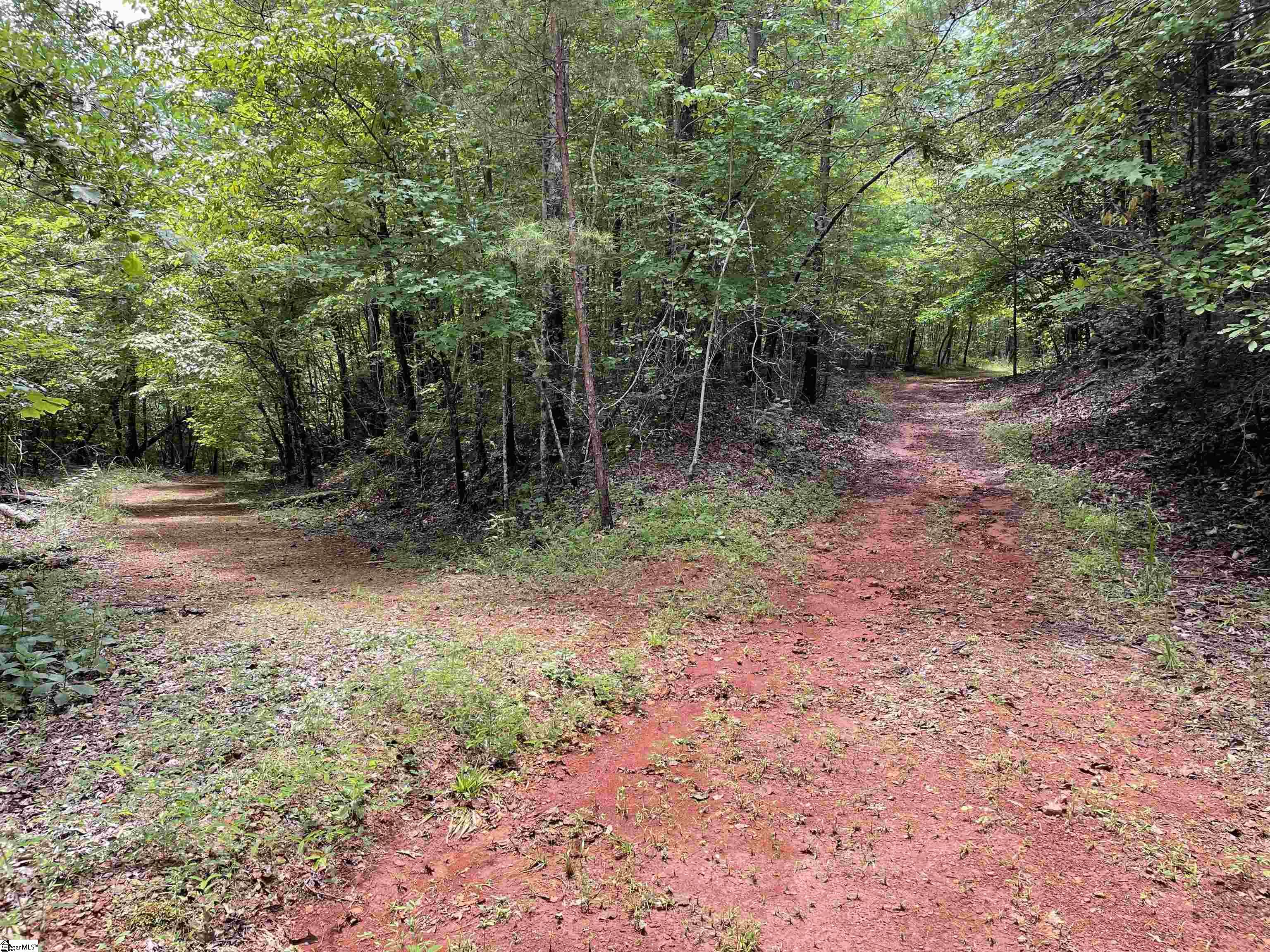 0 Osheal Drive Tamassee, SC 29686 - Photo 24 of 35