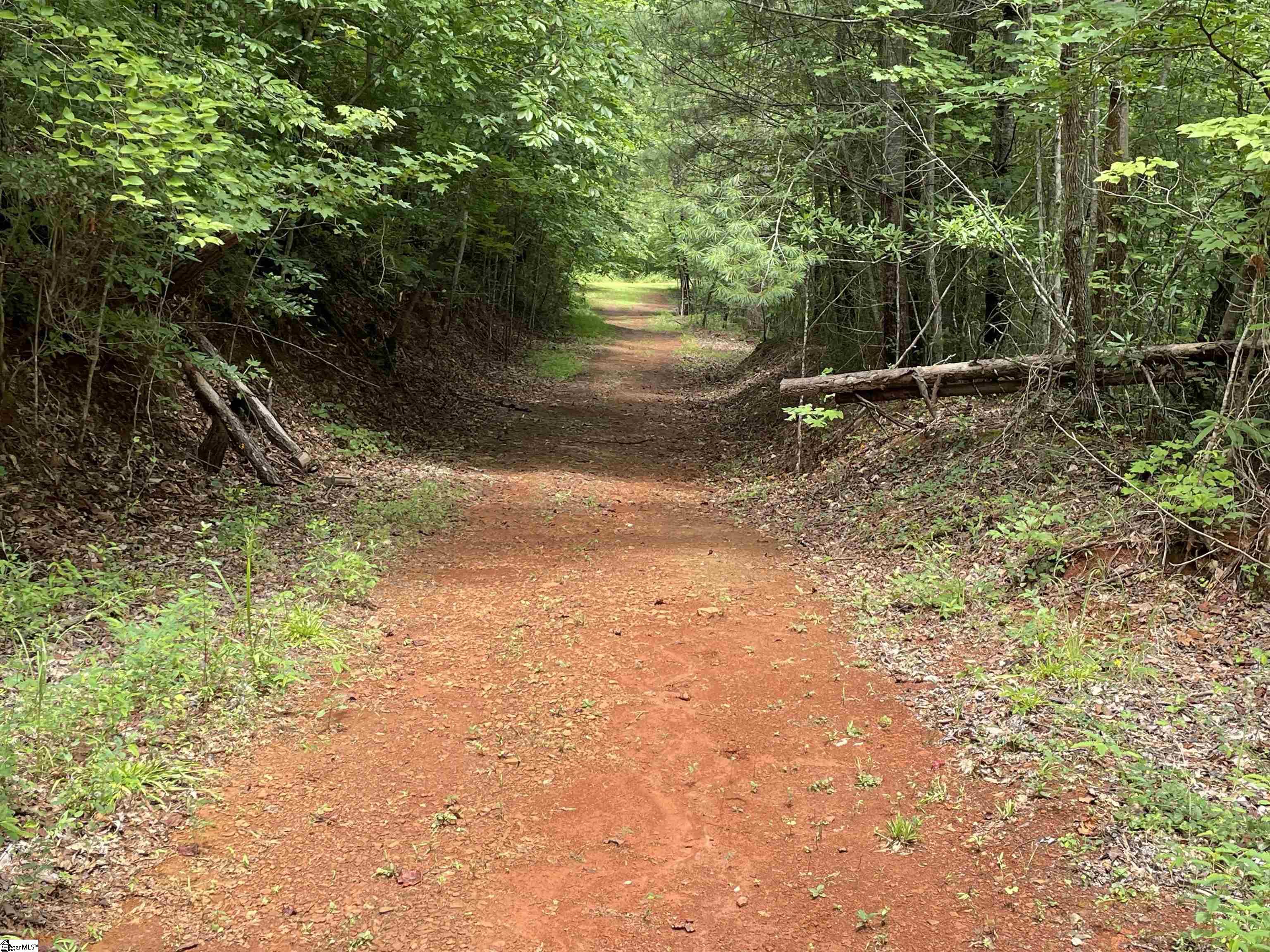 0 Osheal Drive Tamassee, SC 29686 - Photo 25 of 35