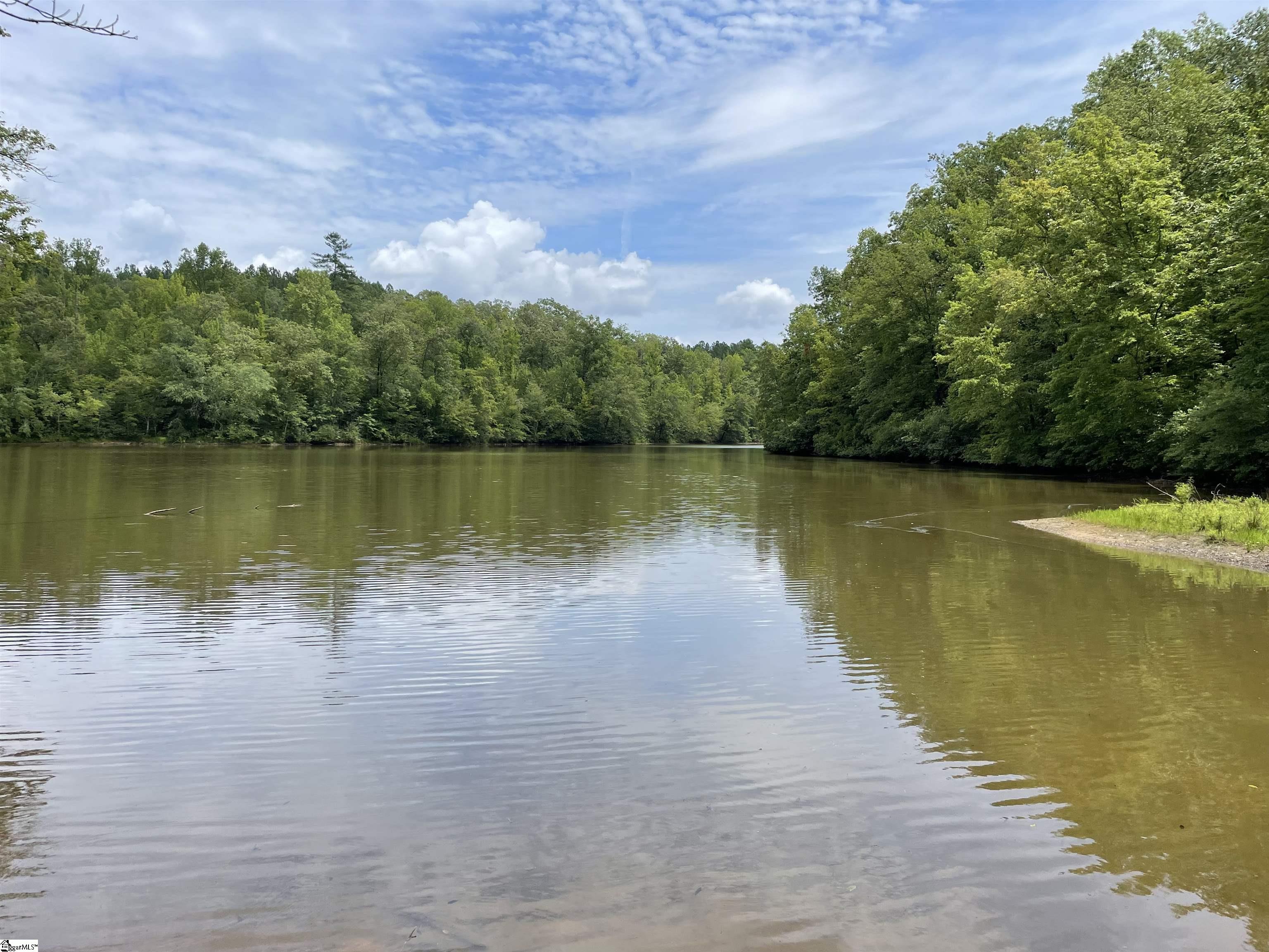 0 Osheal Drive Tamassee, SC 29686 - Photo 3 of 35