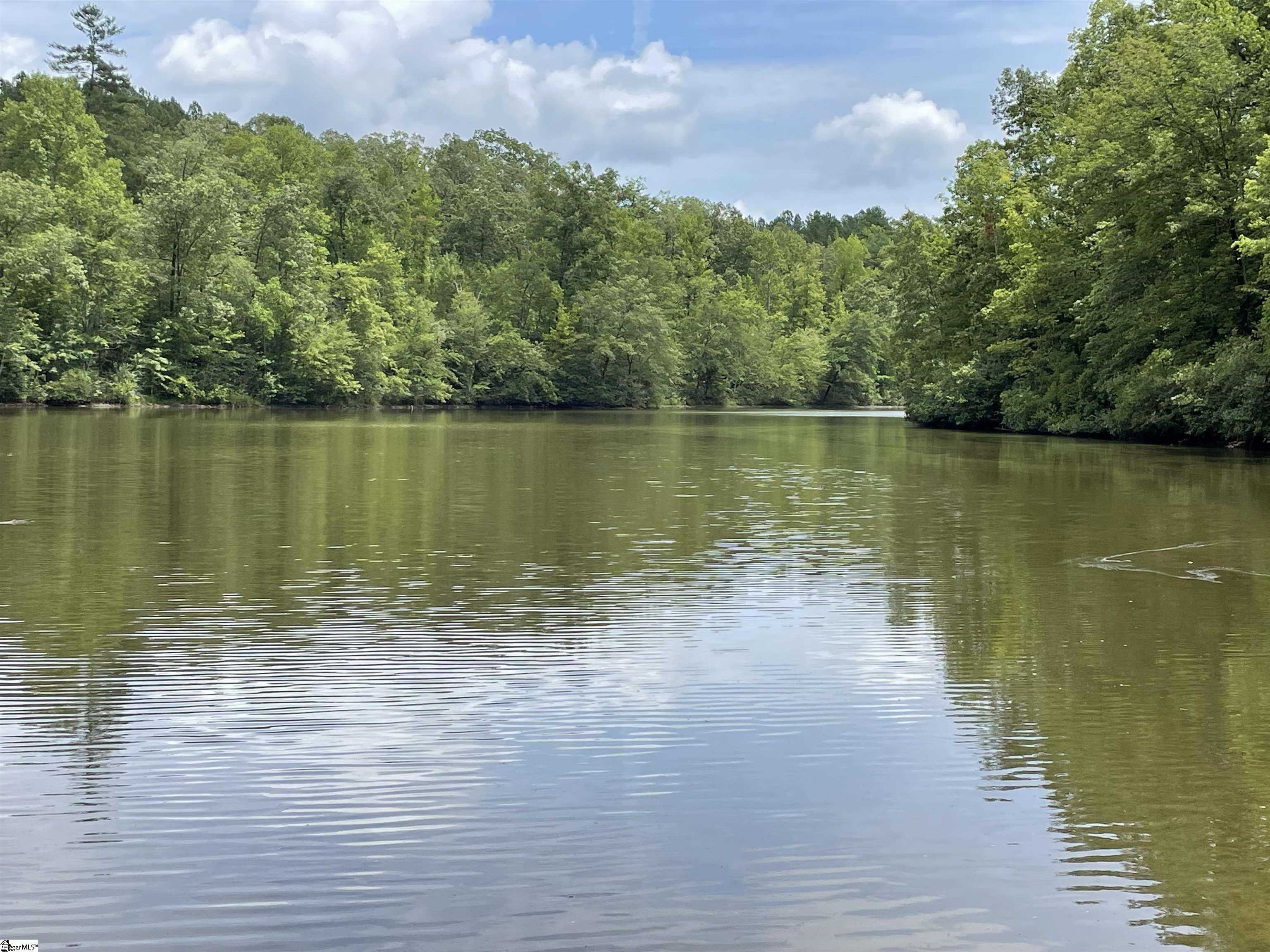 0 Osheal Drive Tamassee, SC 29686 - Photo 4 of 35