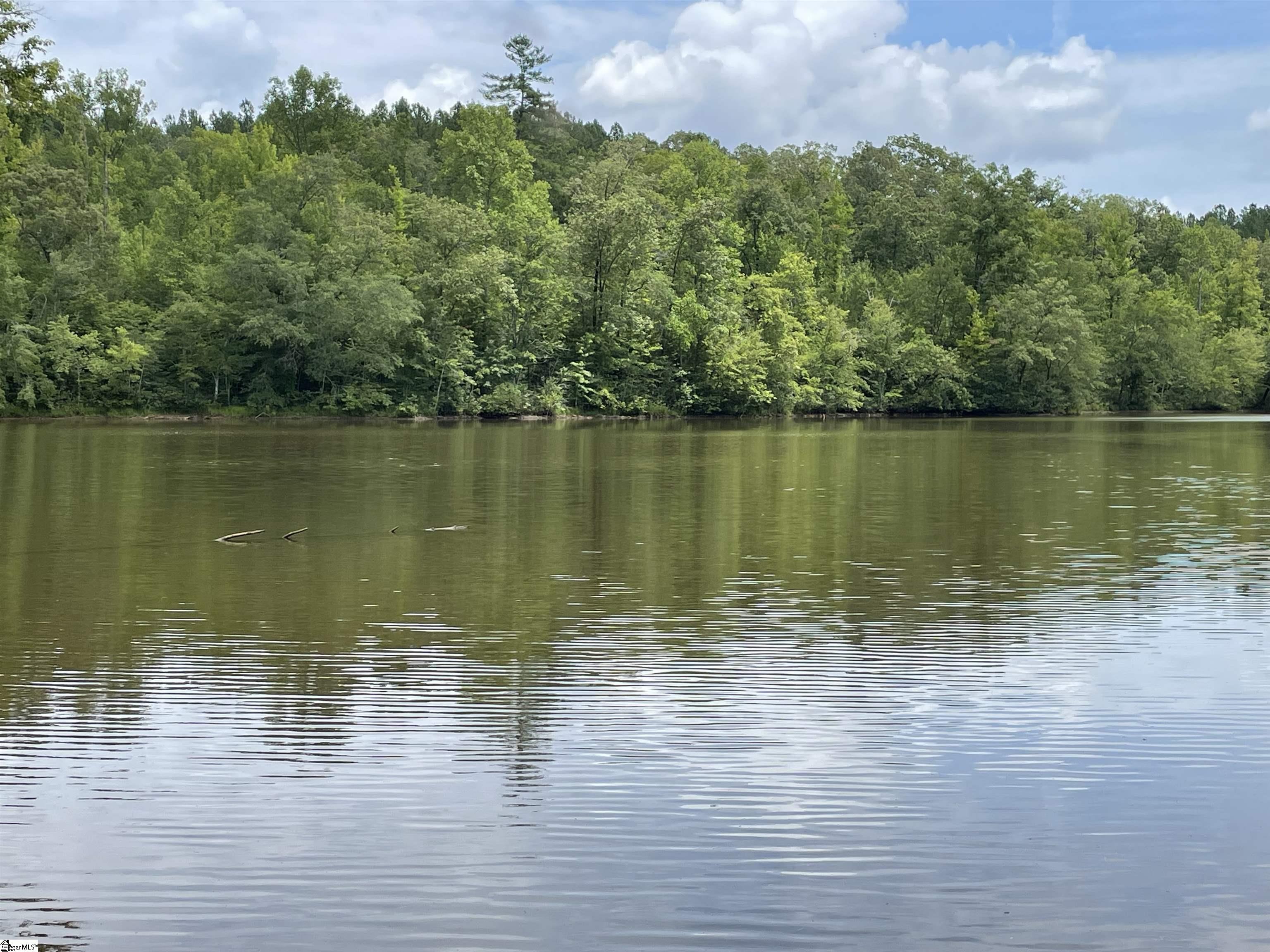 0 Osheal Drive Tamassee, SC 29686 - Photo 5 of 35