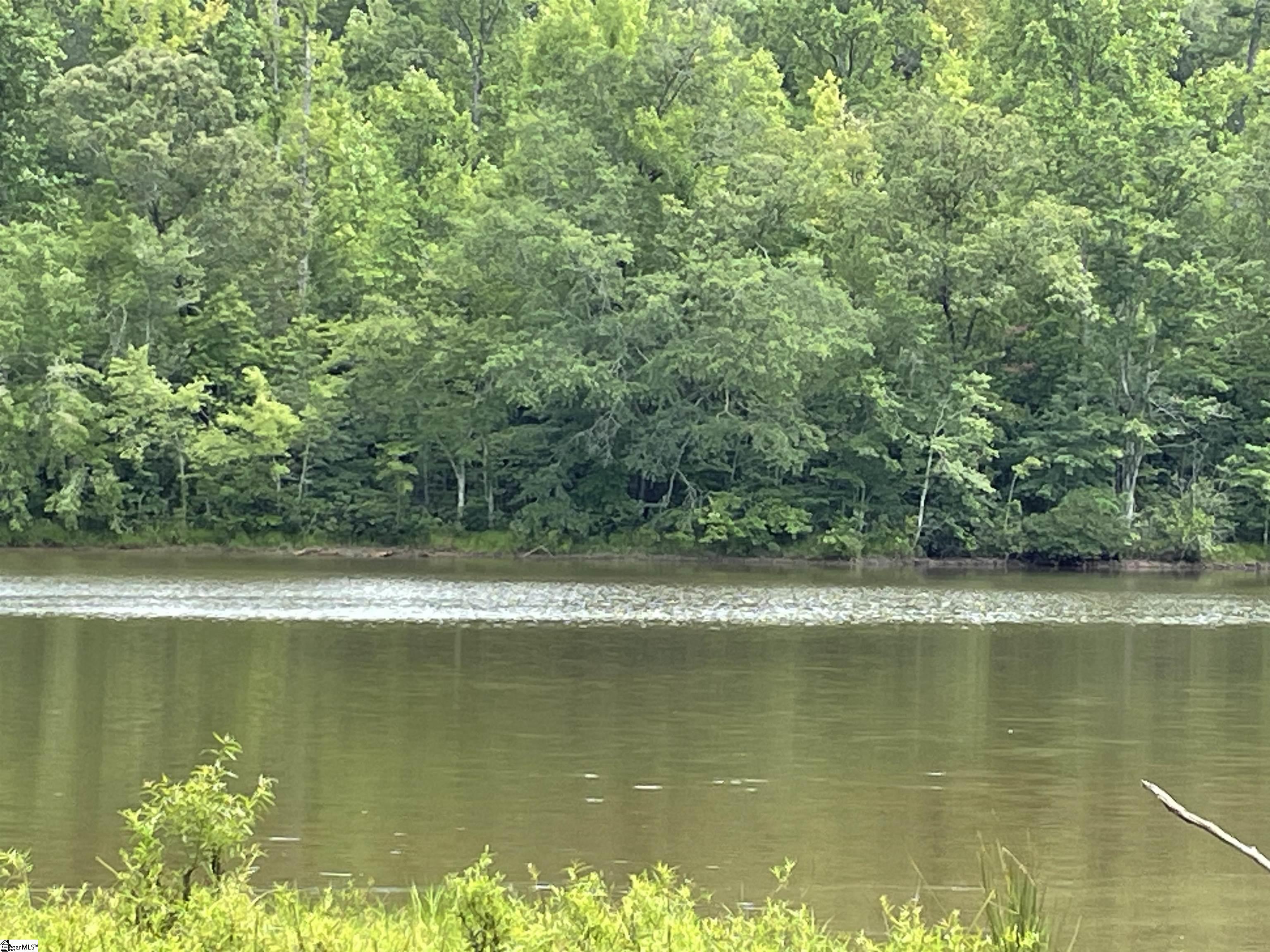 0 Osheal Drive Tamassee, SC 29686 - Photo 6 of 35