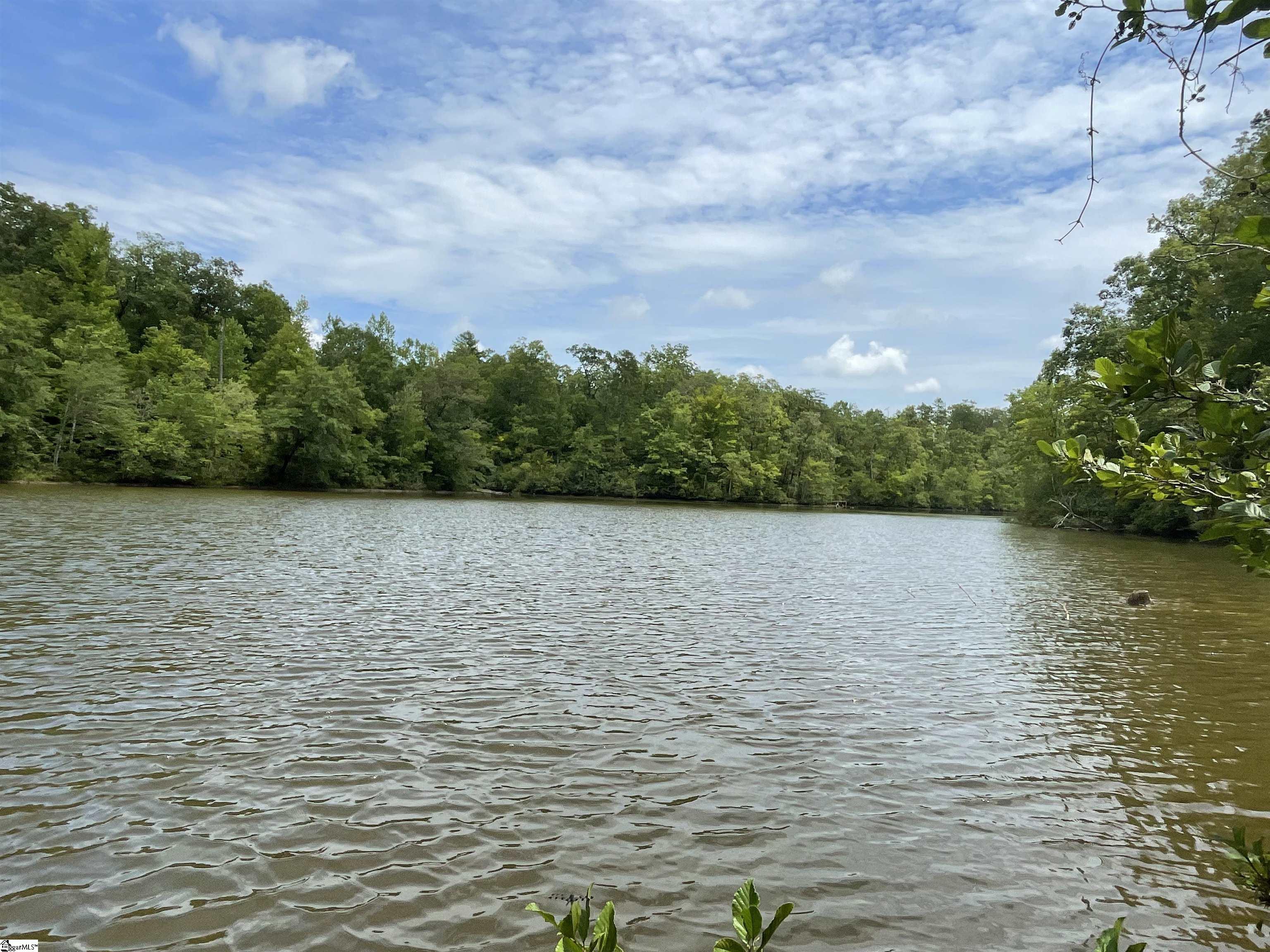 0 Osheal Drive Tamassee, SC 29686 - Photo 7 of 35