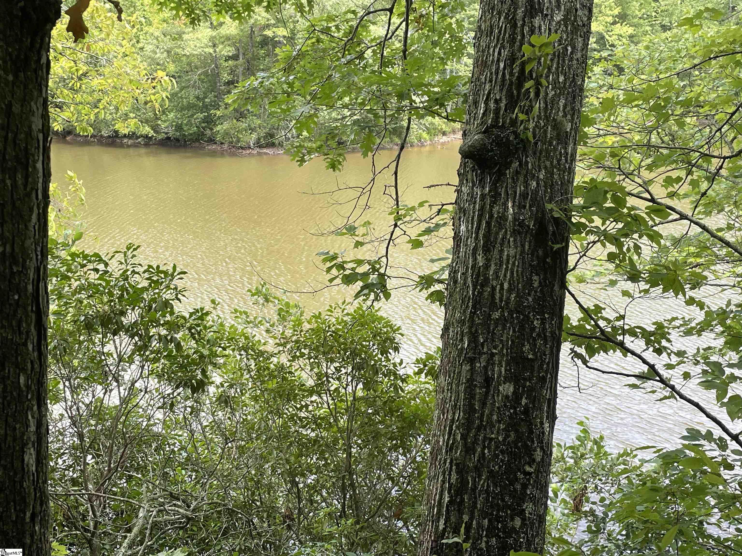 0 Osheal Drive Tamassee, SC 29686 - Photo 8 of 35