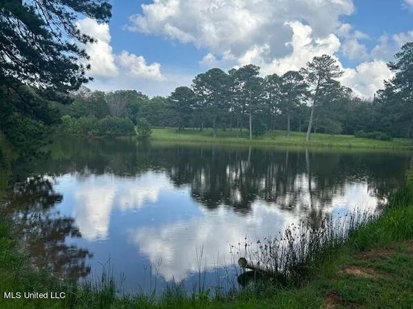 $810,250 | 229 12 Oaks Road, Canton, MS 39046